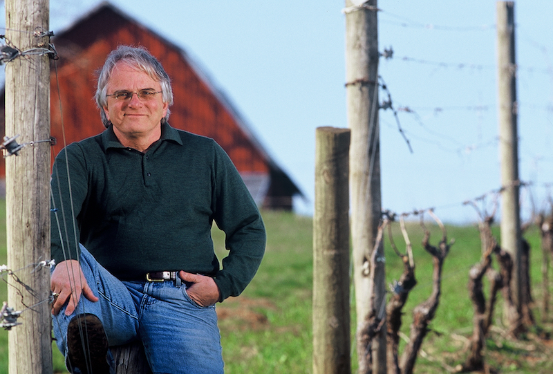 A portrait of a man in a vineyard