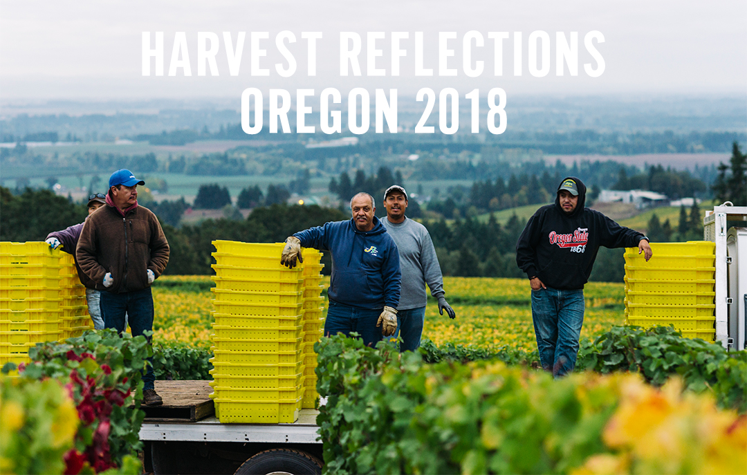 Harvest Reflections Oregon Wine 2018