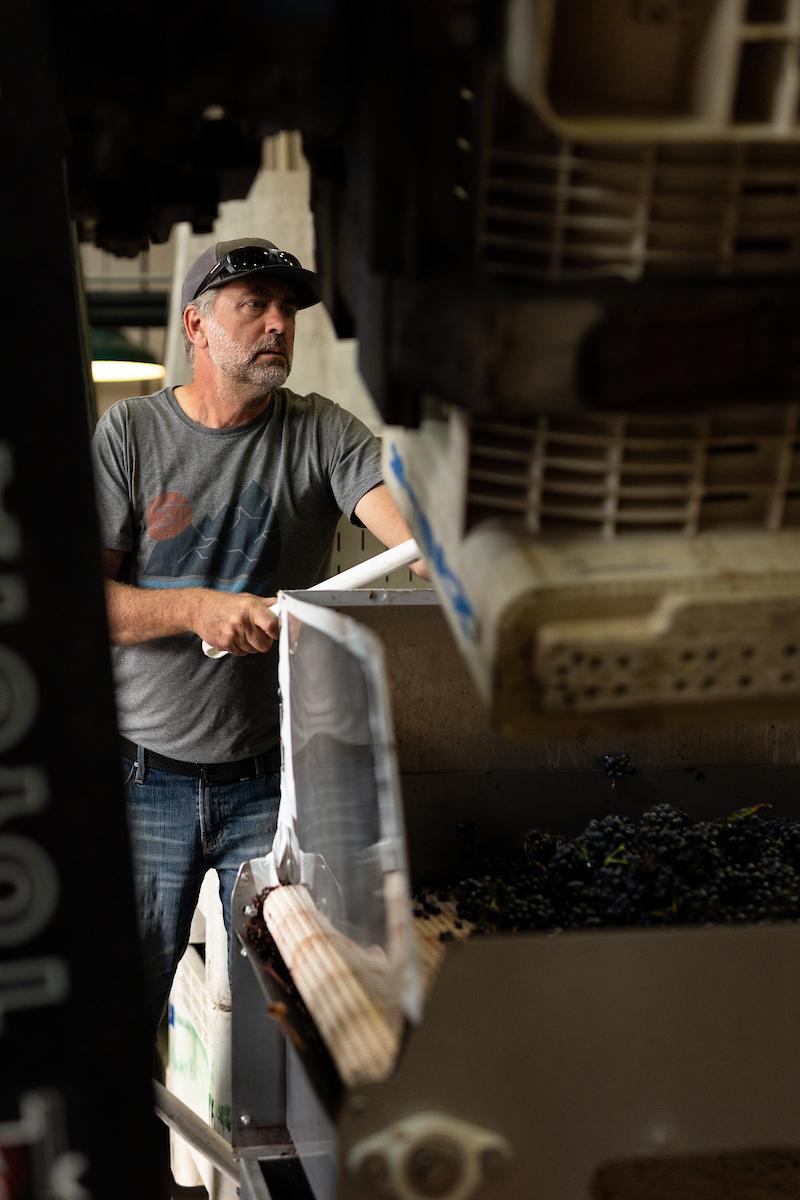 Failla Wines