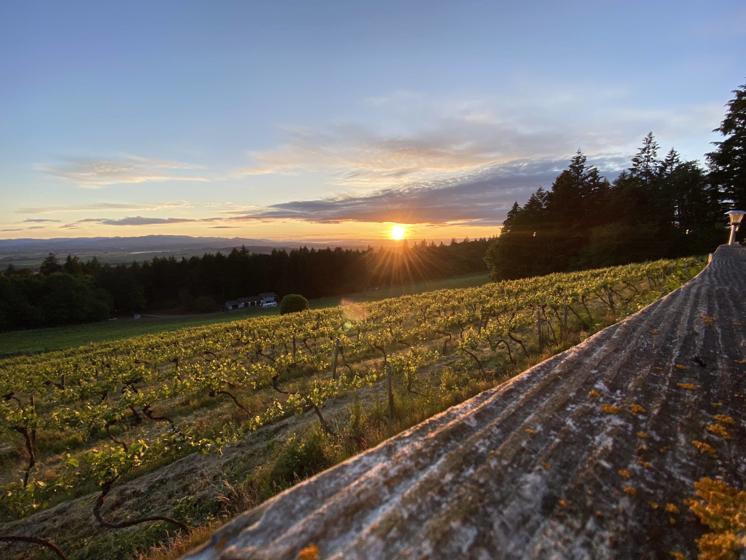 Kathken Vineyards