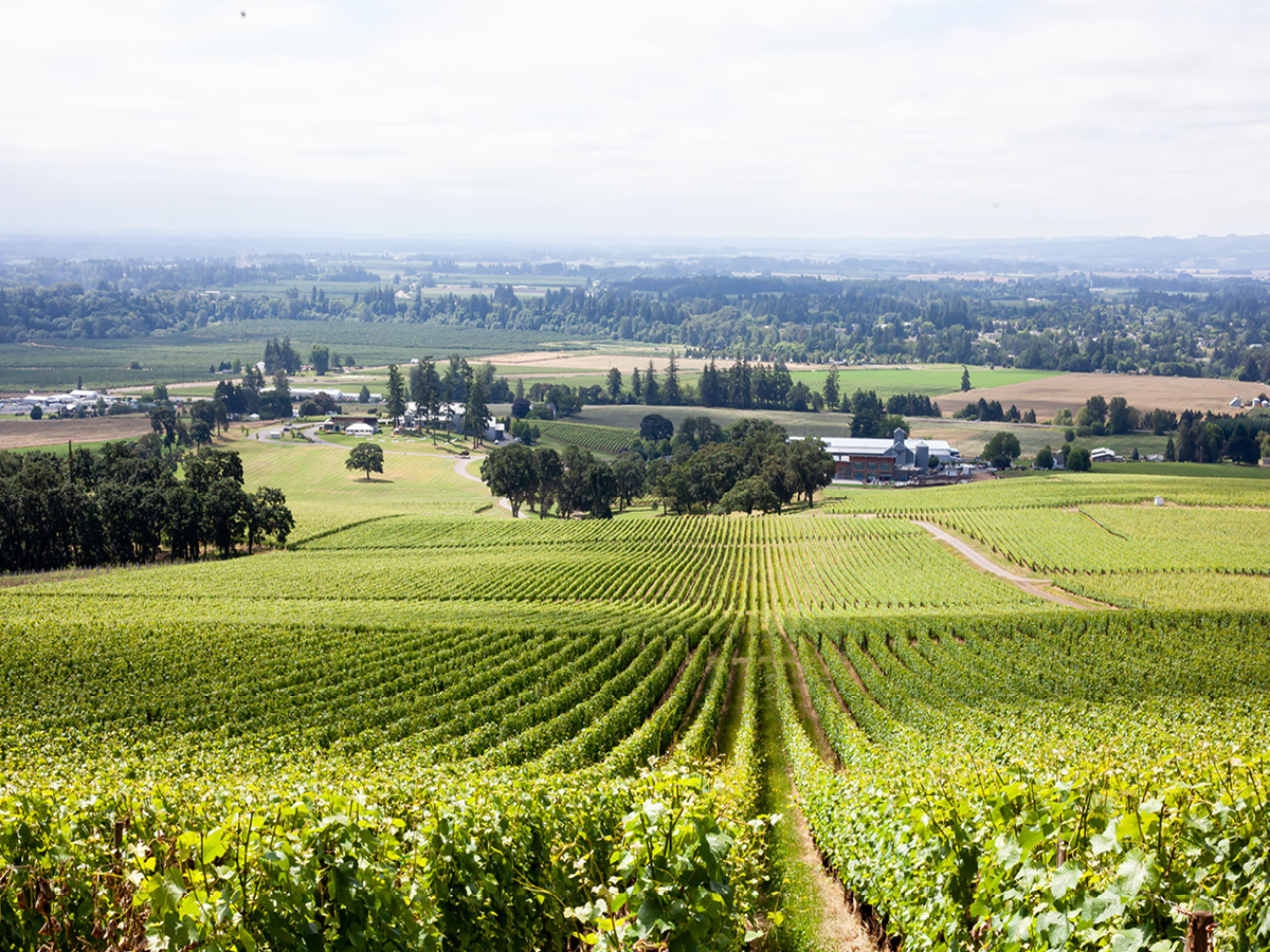Stoller Family Estate