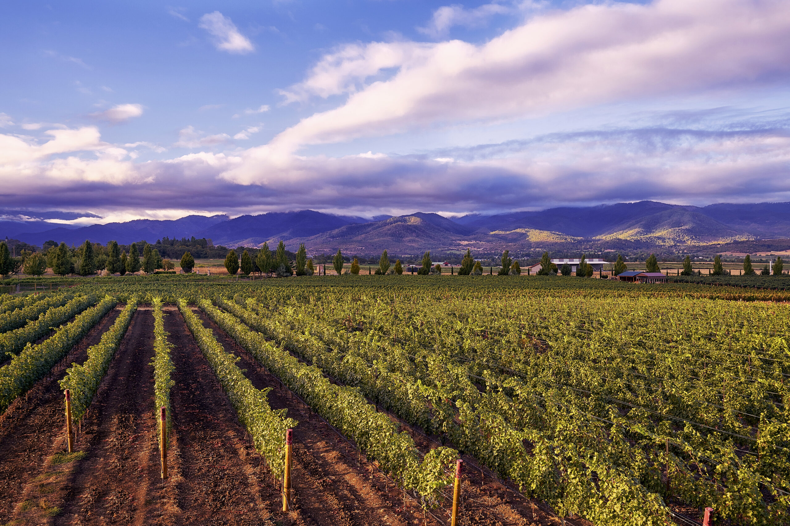 Grizzly Peak Winery