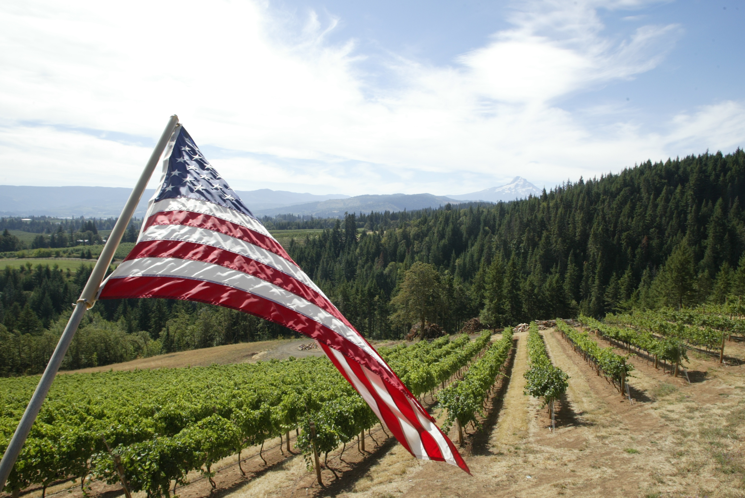 Phelps Creek Vineyards