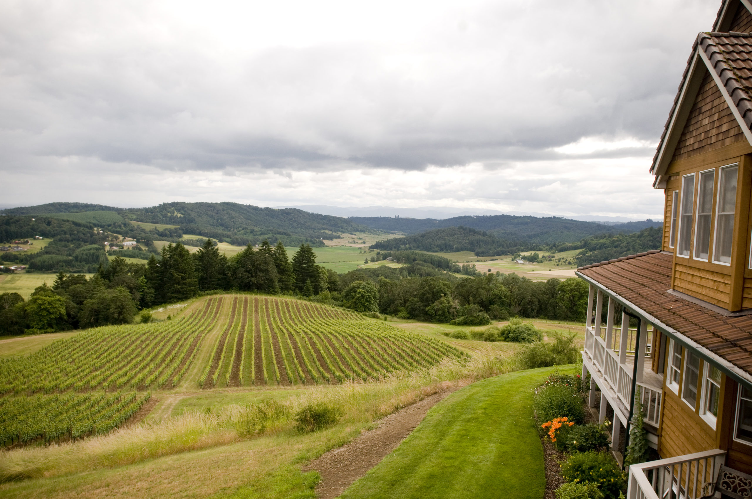 Youngberg Hill