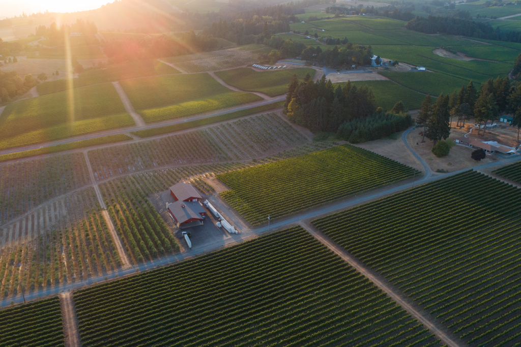 Durant Vineyards