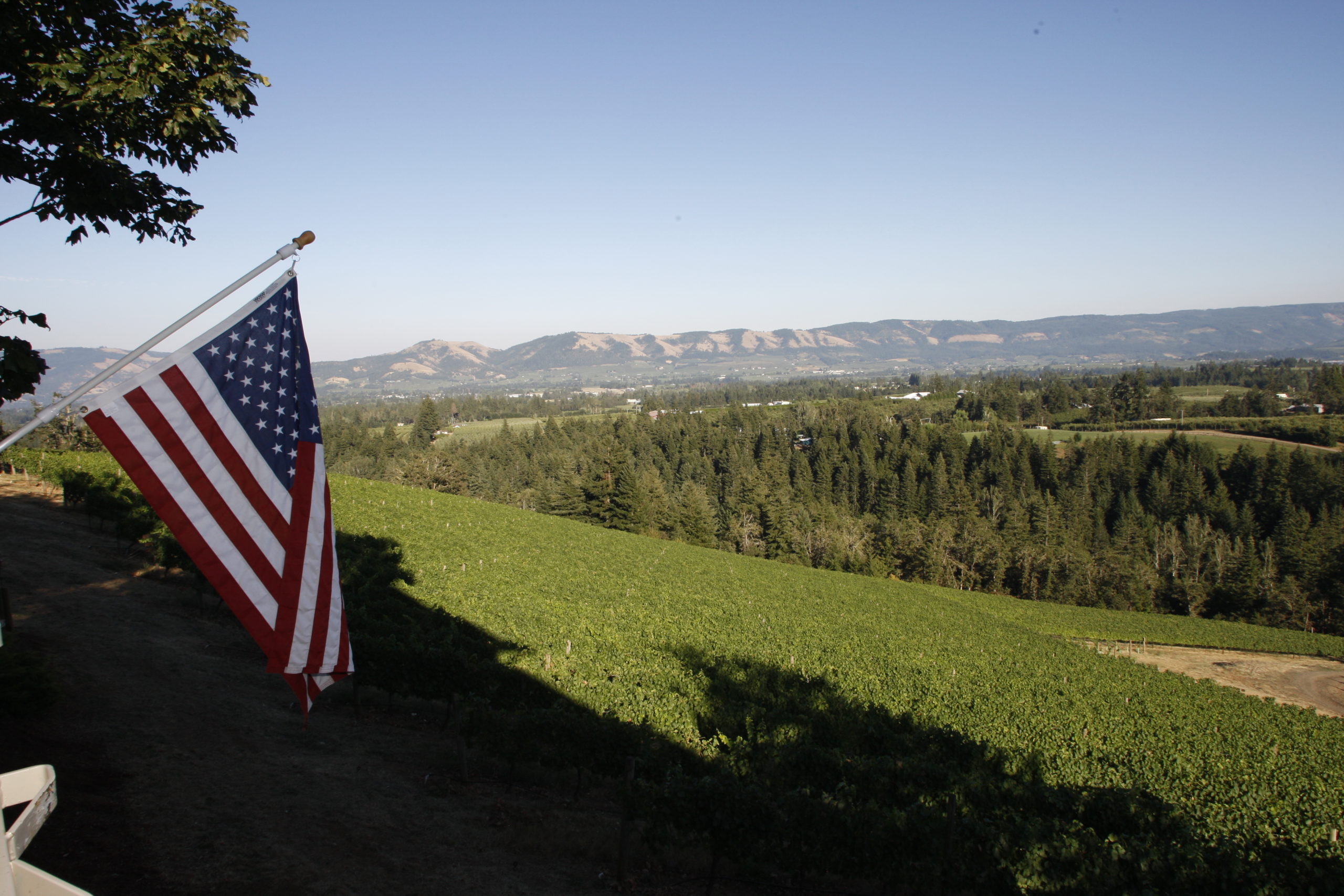 Phelps Creek Vineyards