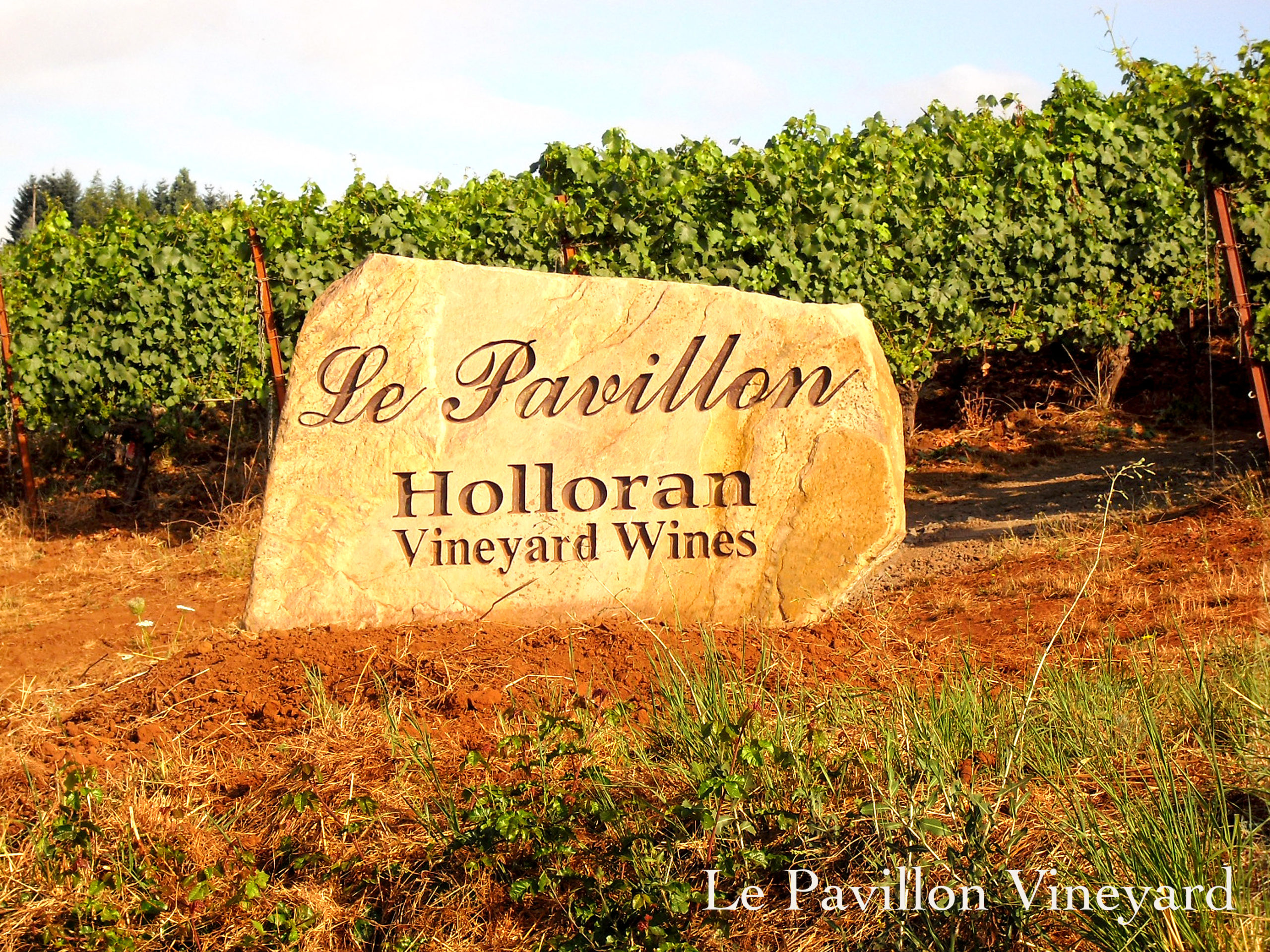 Holloran Vineyard Wines