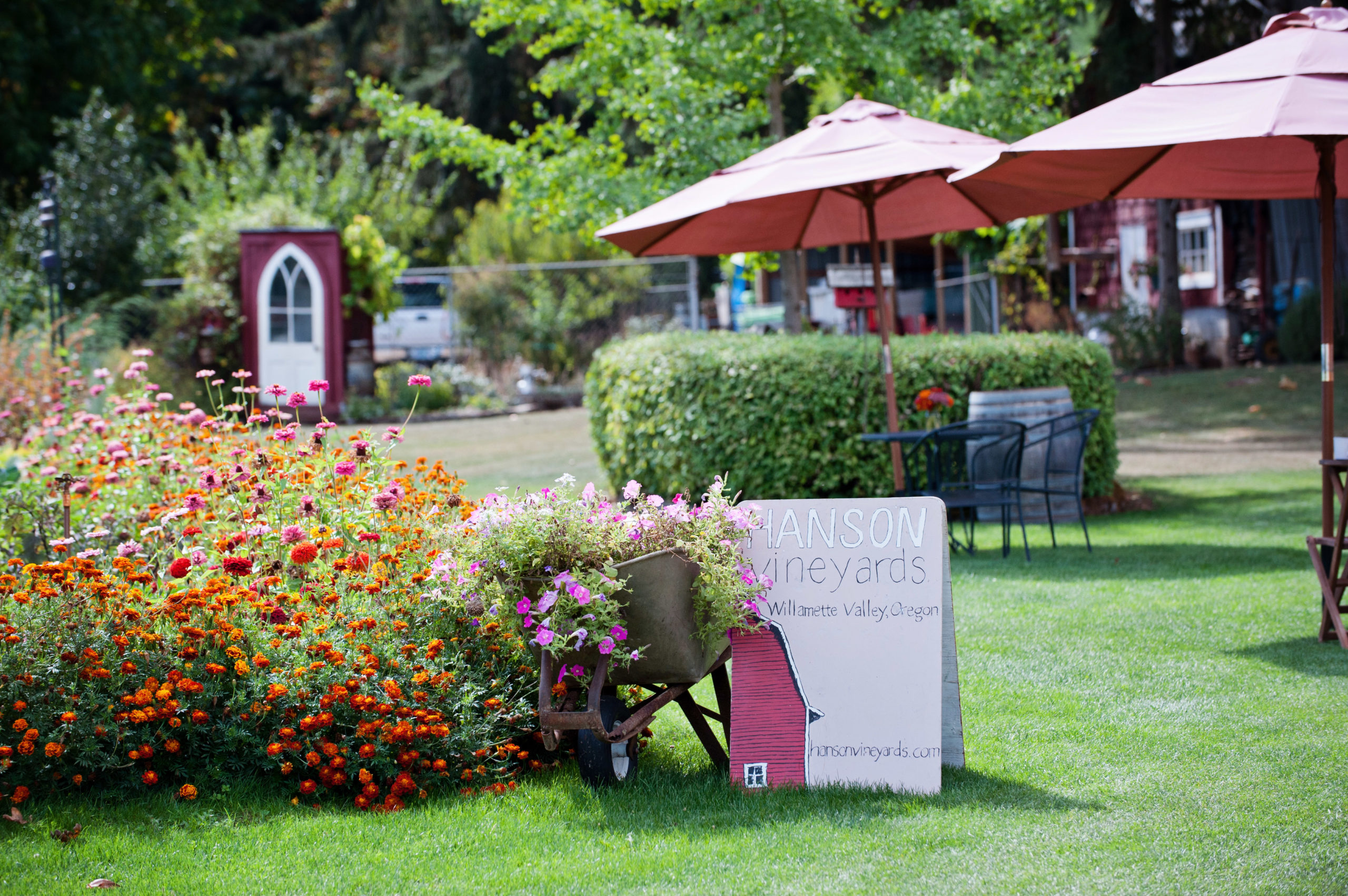 Hanson Vineyards