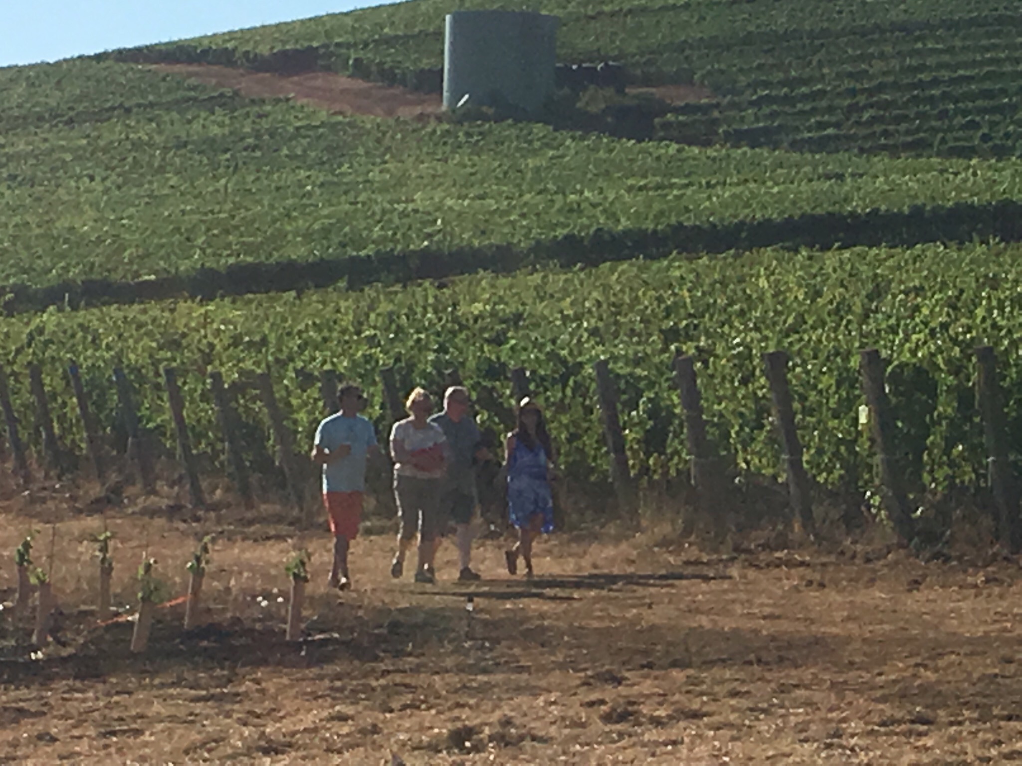 Cramoisi Vineyard