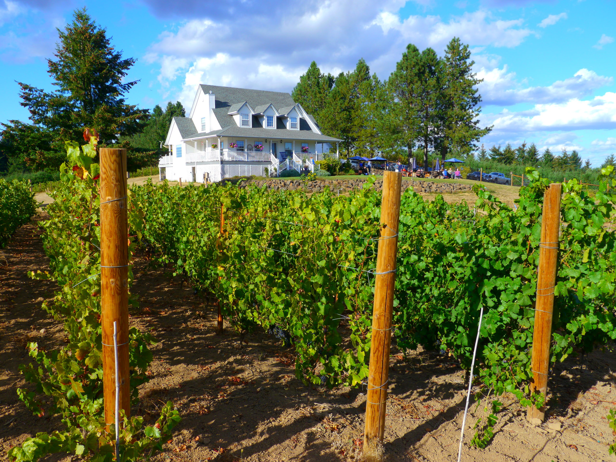 Bluebird Hill Cellars