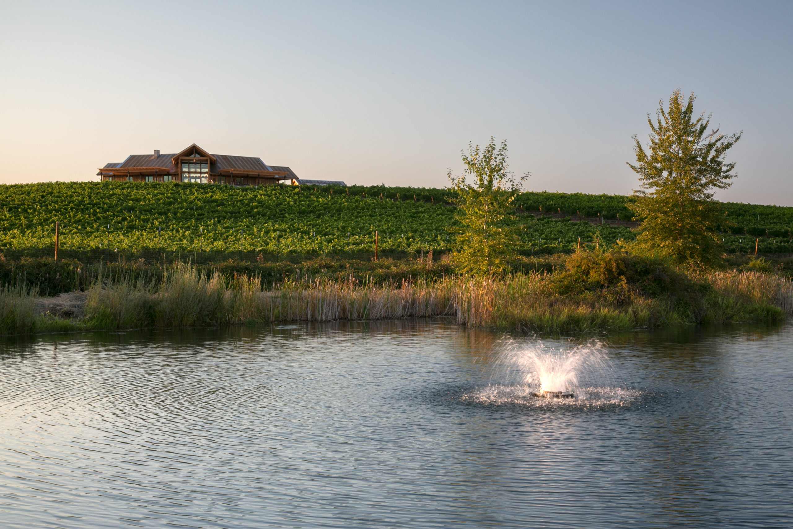 Kriselle Cellars
