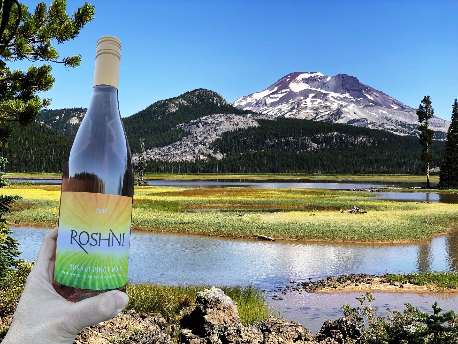 Roshni Vineyard