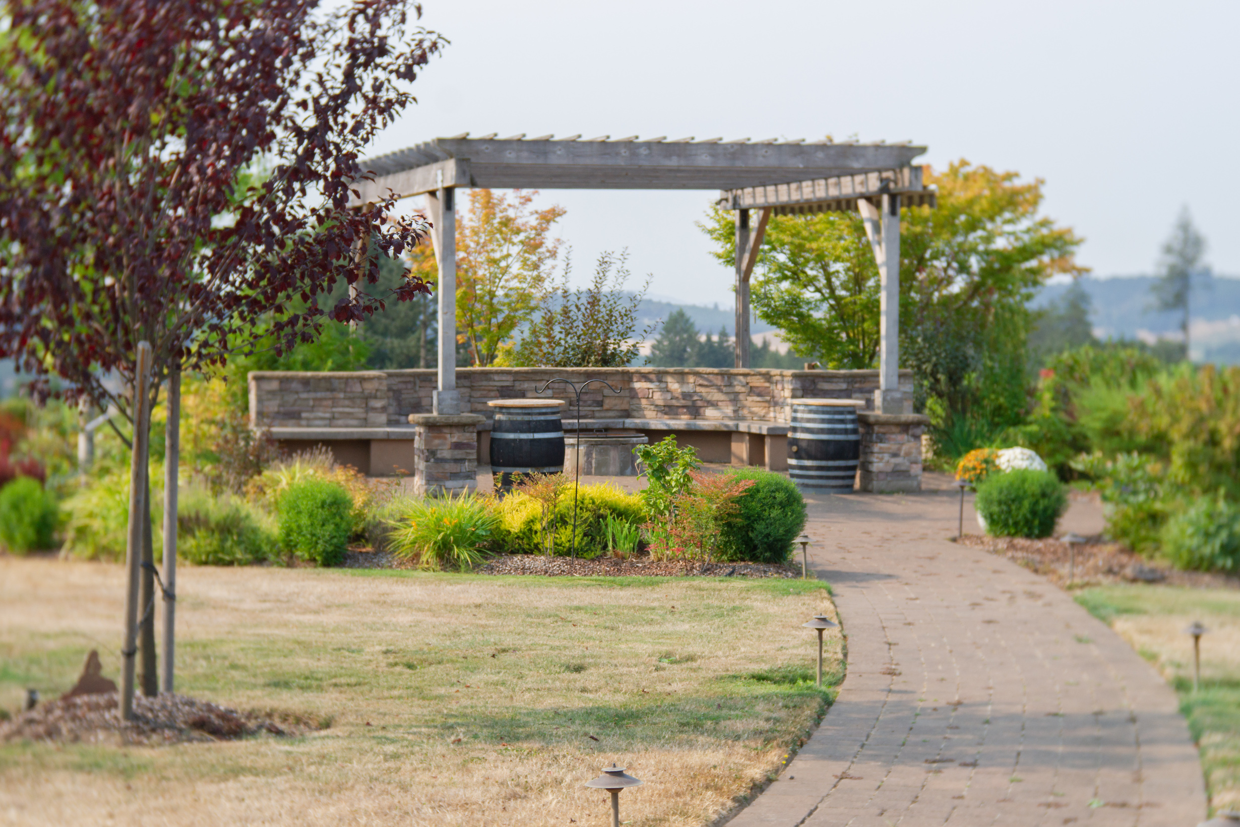 Ayres Vineyard & Winery