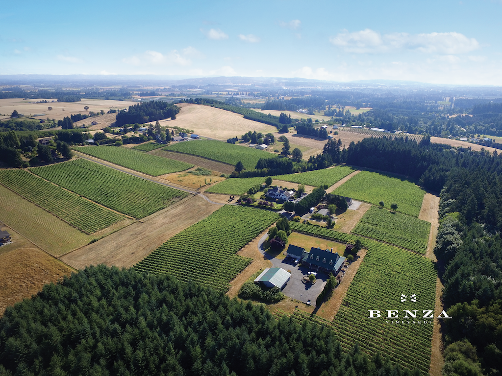 Benza Vineyards