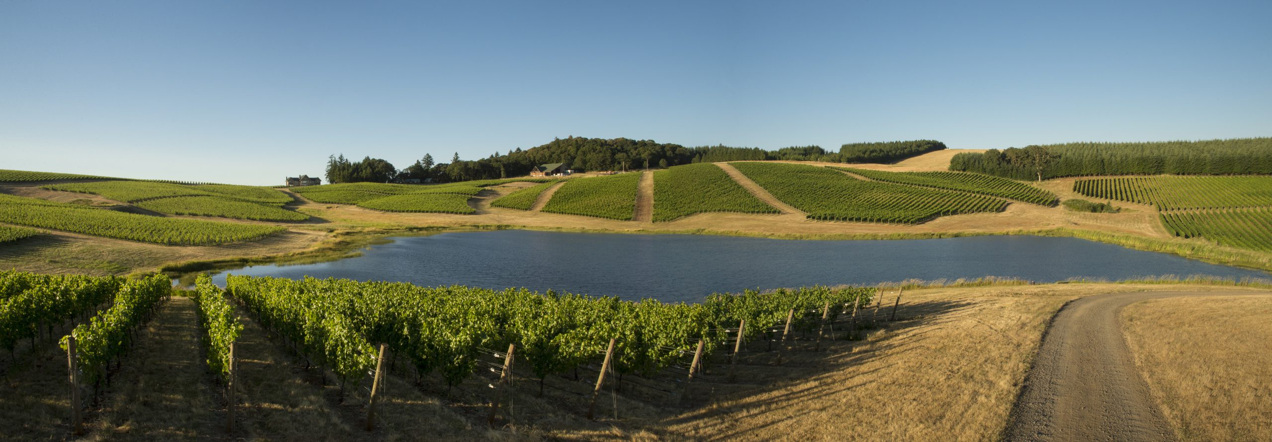 Cherry Hill Winery