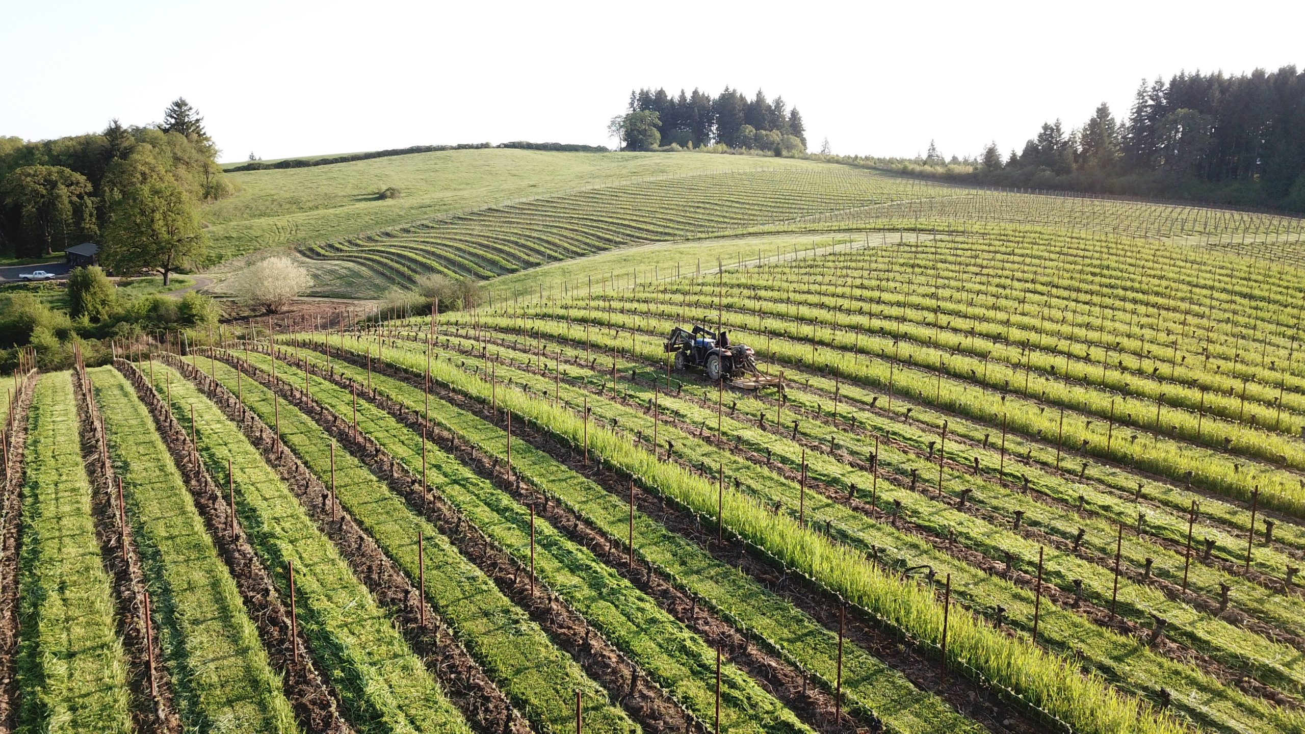 MonksGate Vineyard & Wines