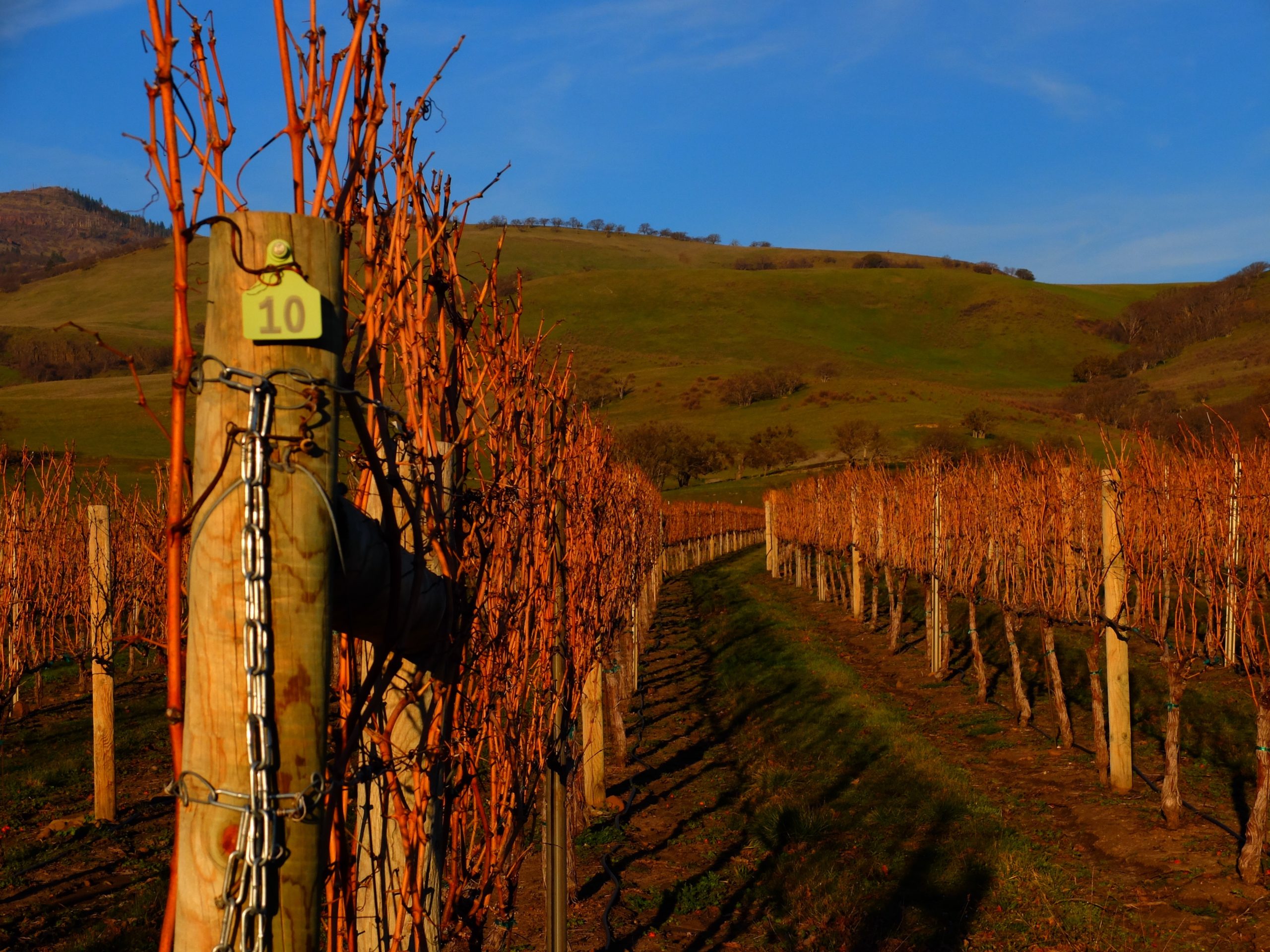 Grizzly Peak Winery