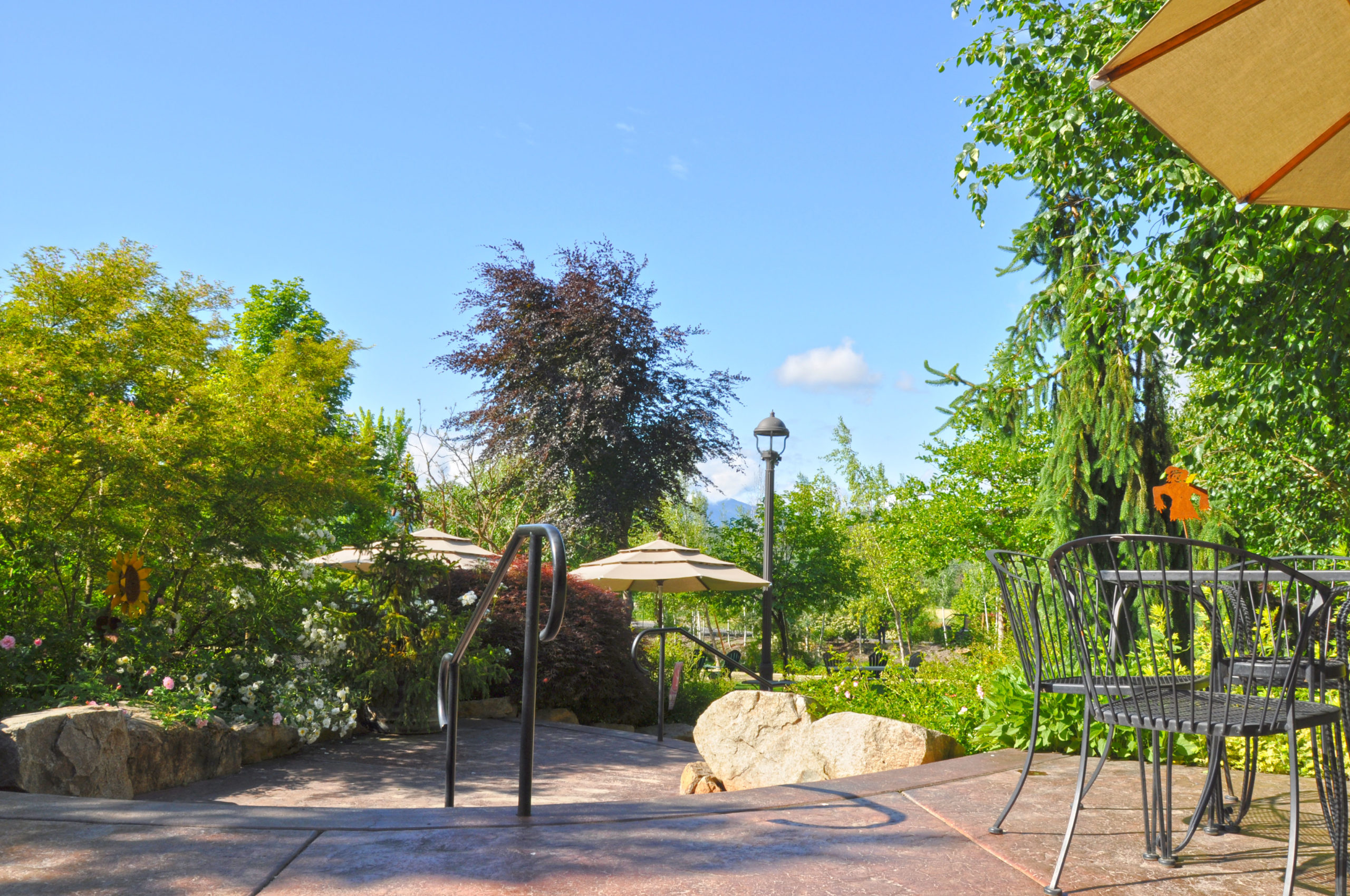 Schmidt Family Vineyards