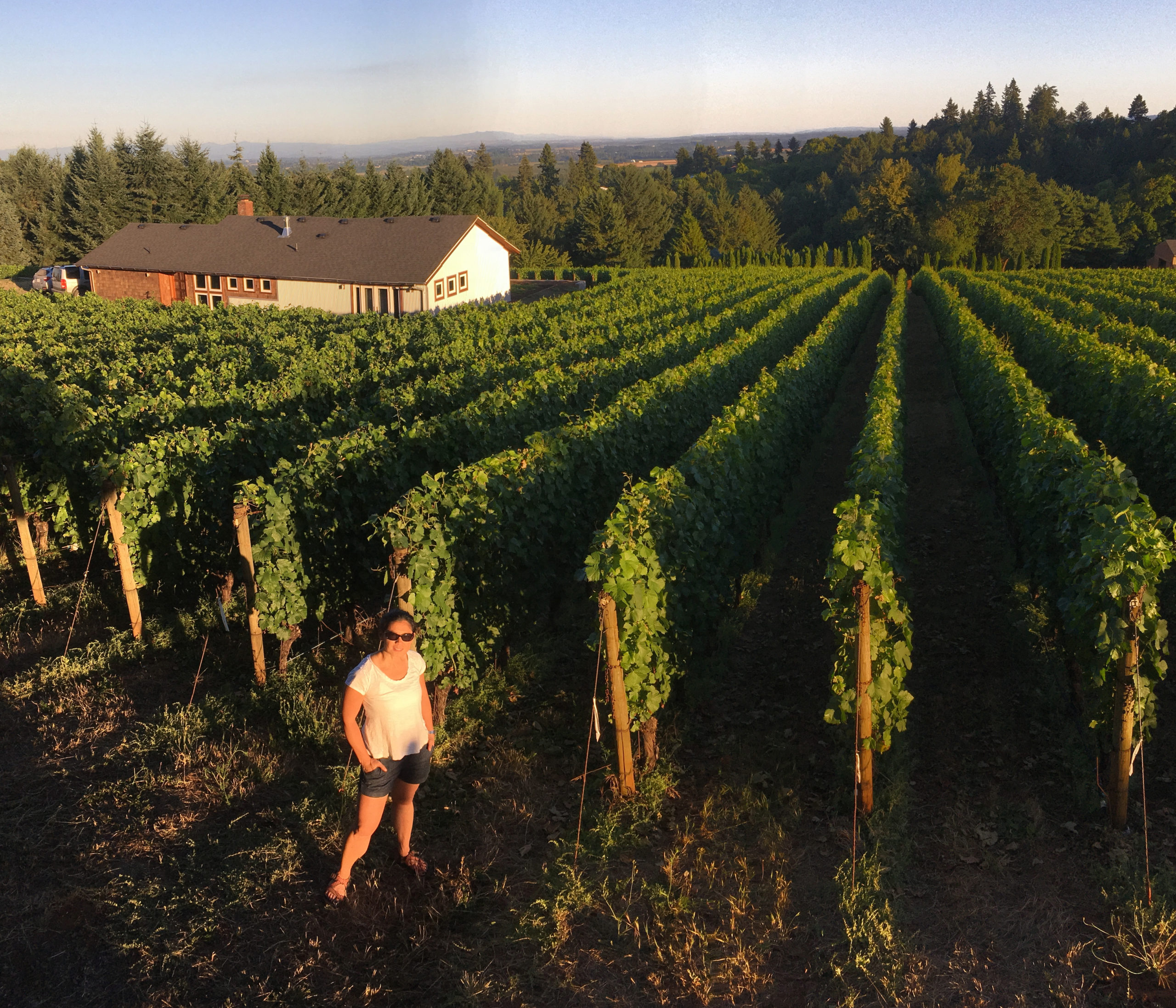 Élevée Winegrowers
