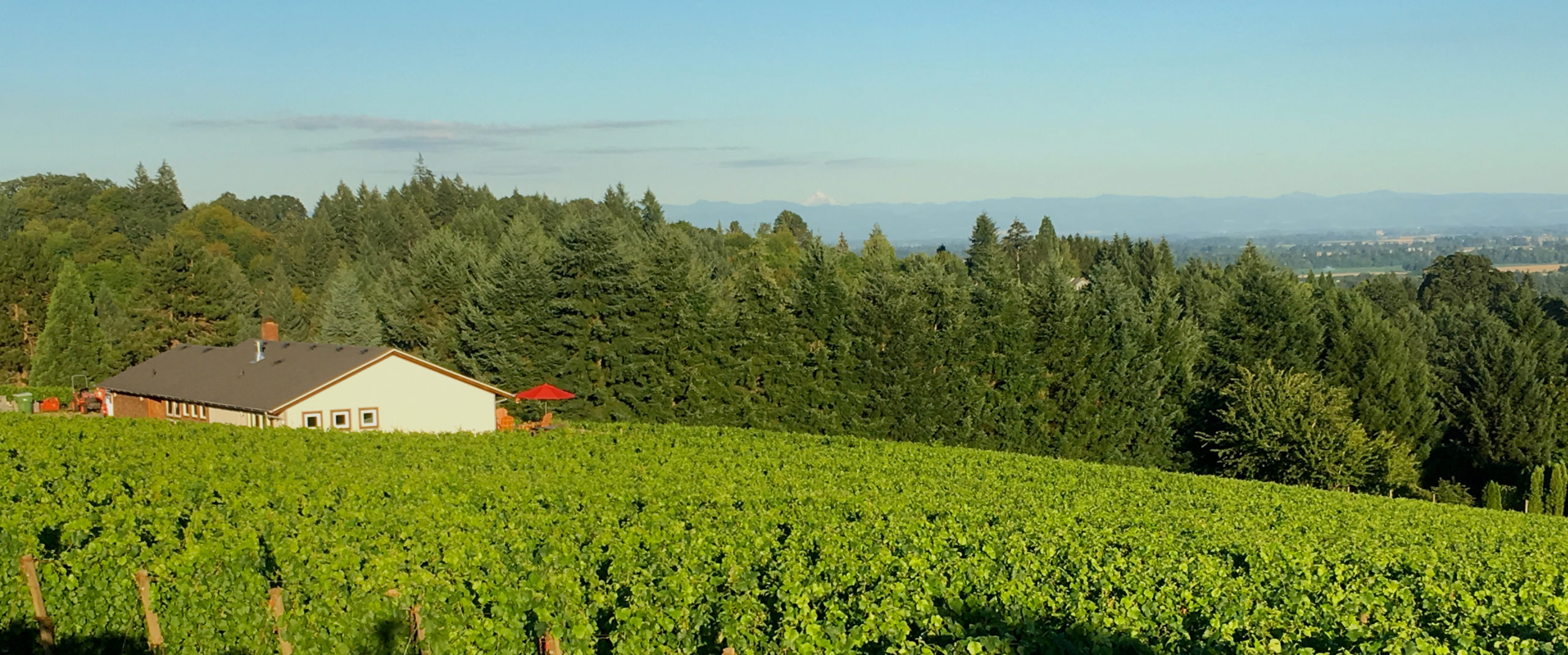 Élevée Winegrowers