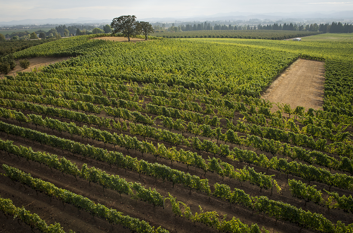 Eola Hills Wine Cellars