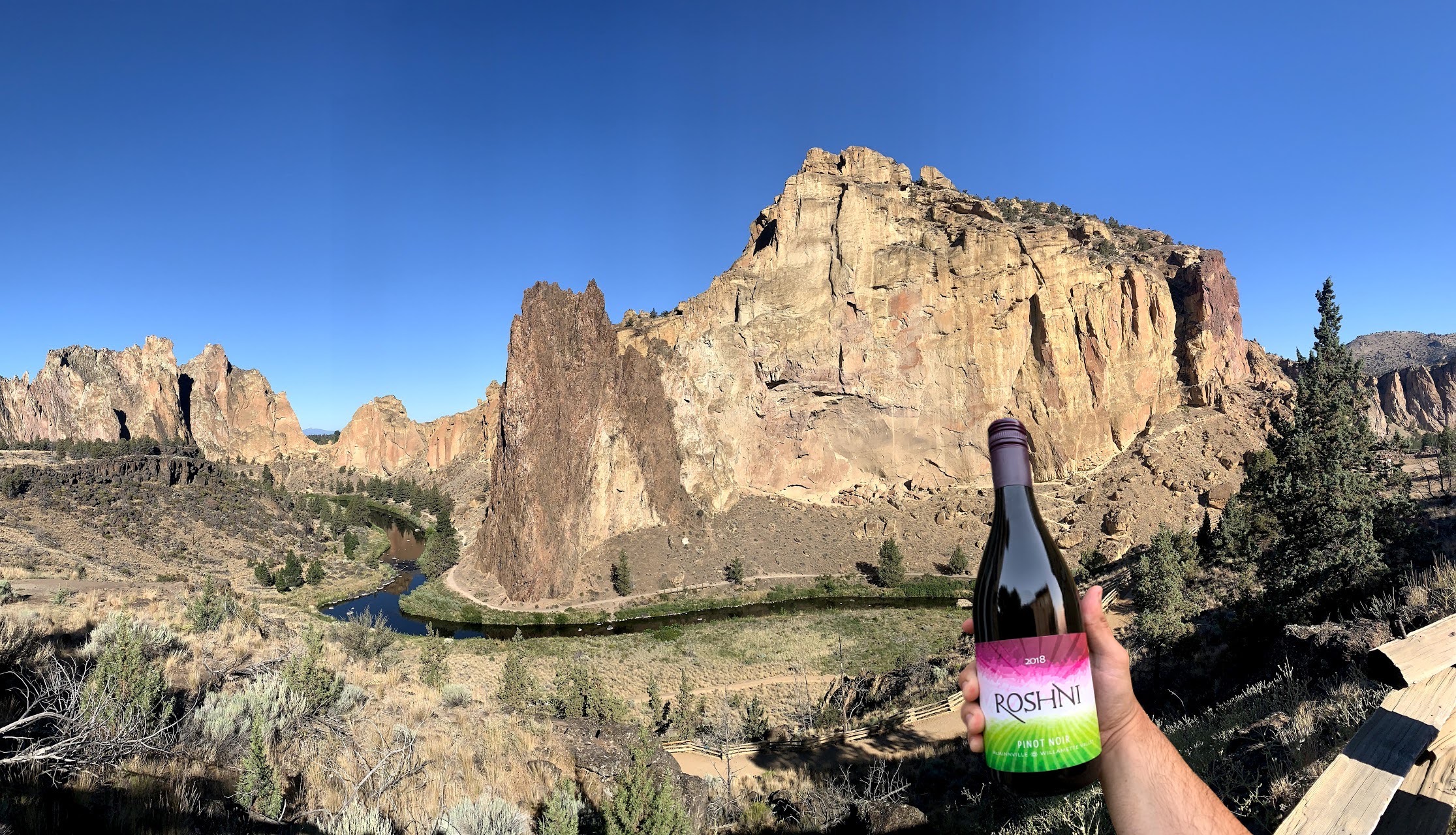 Roshni Vineyard