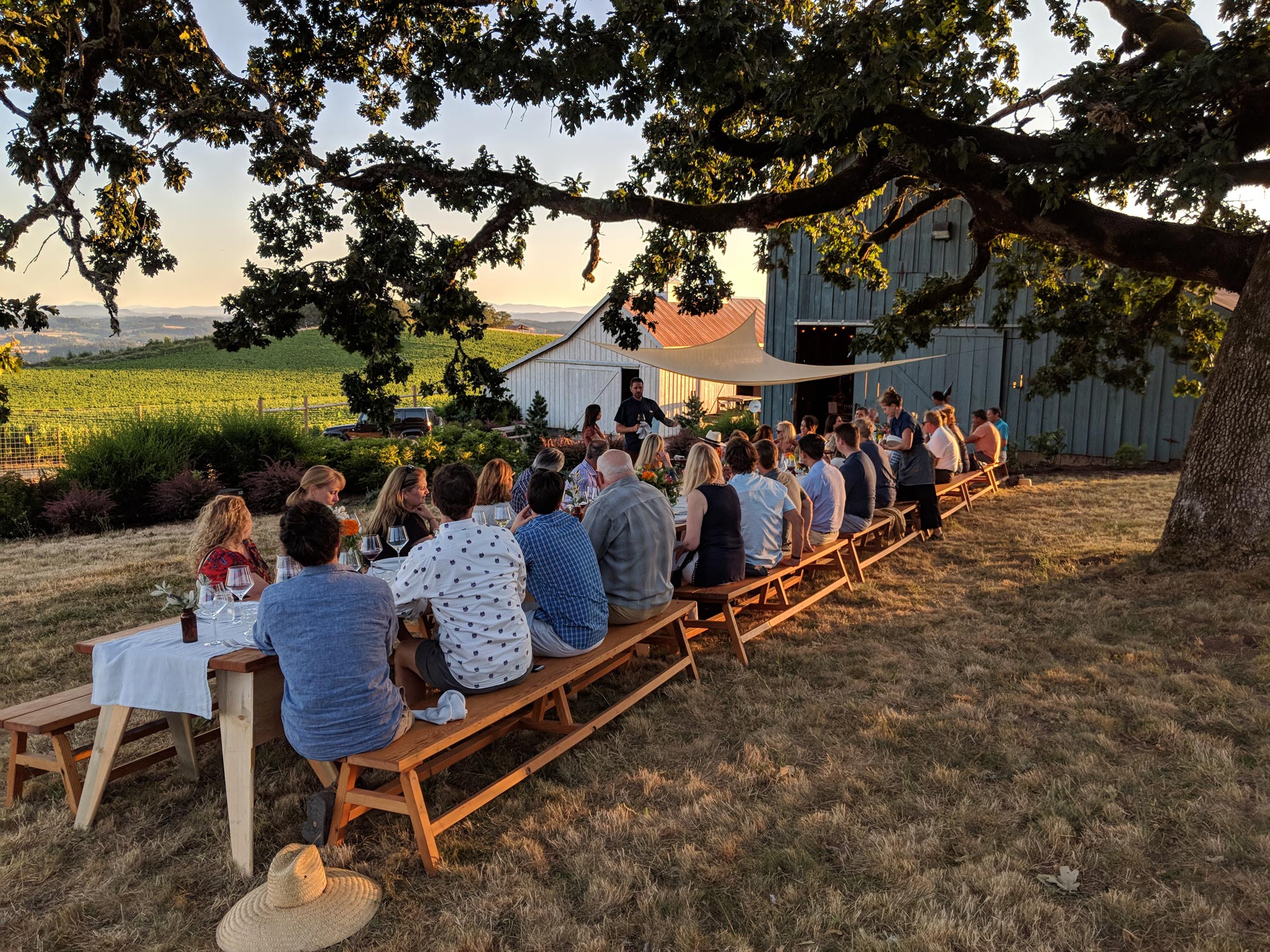 Flâneur Wines at La Belle Promenade Vineyard
