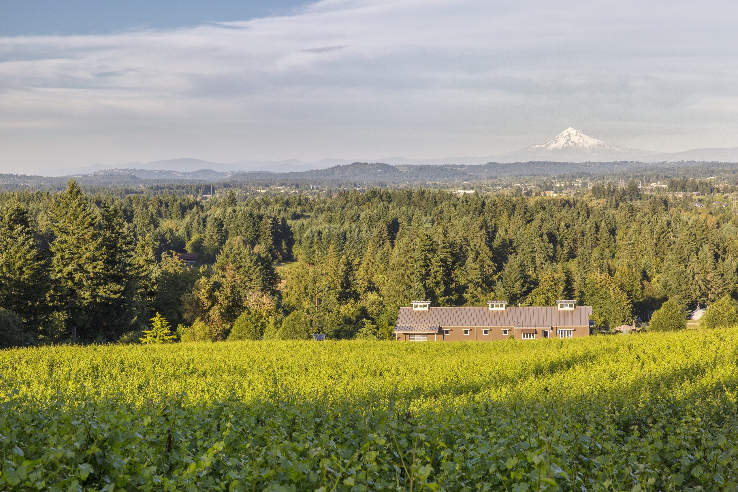 Hawks View Winery