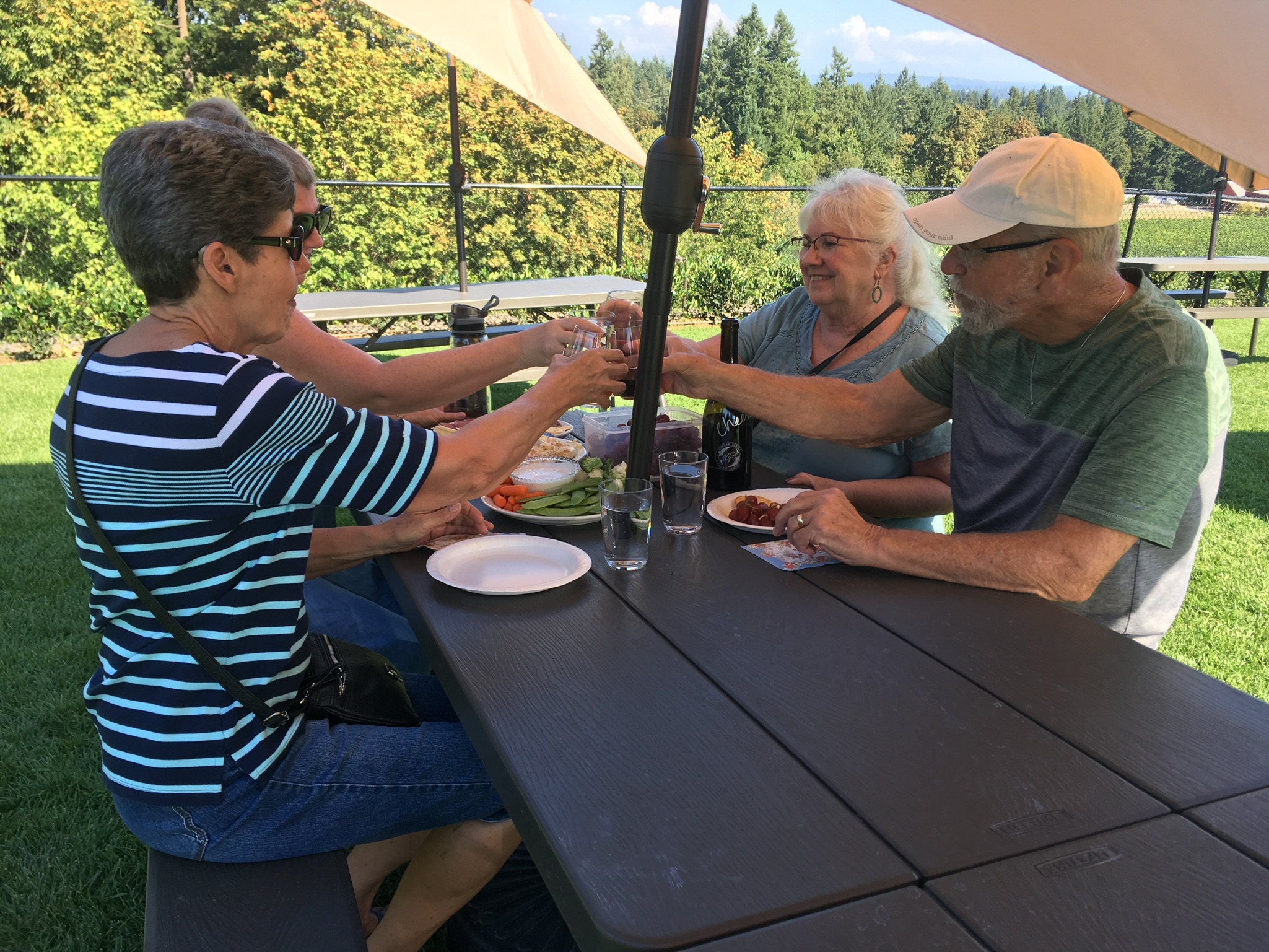 Hawks View Winery