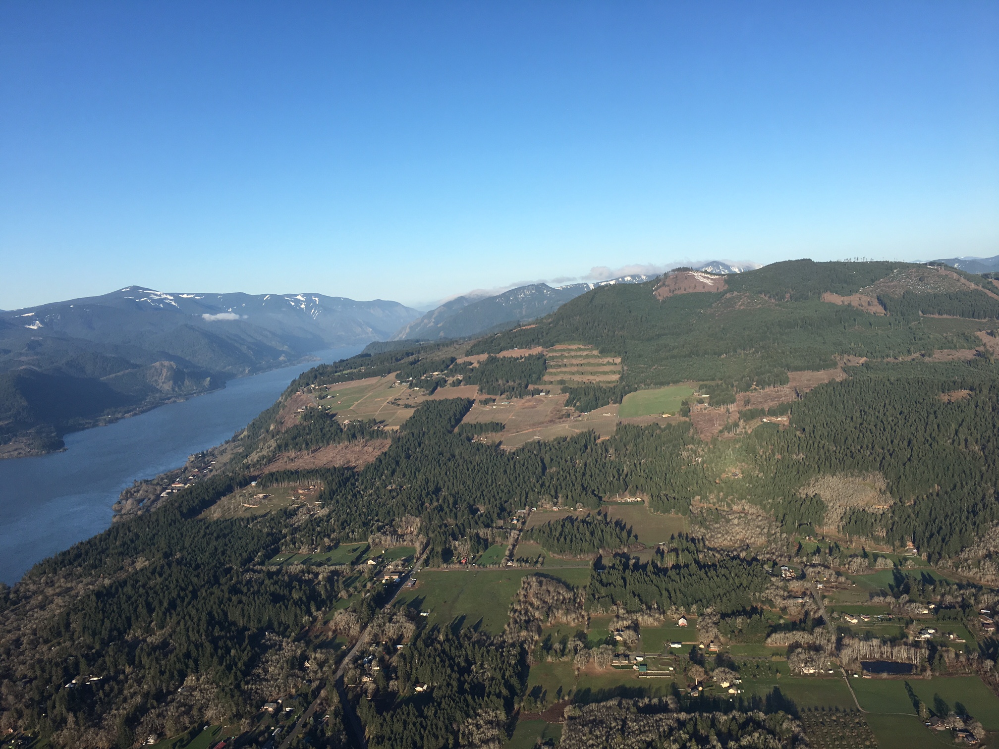 White Salmon Vineyard