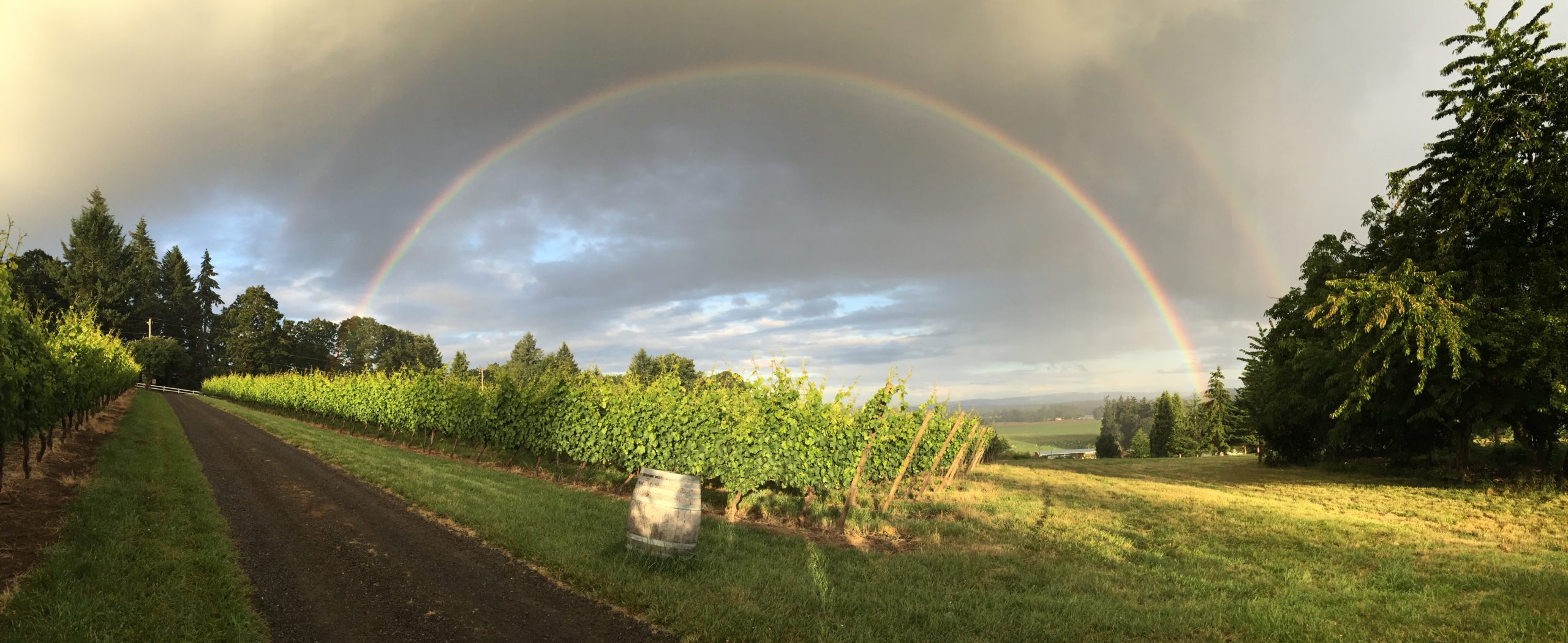 King’s Raven Winery