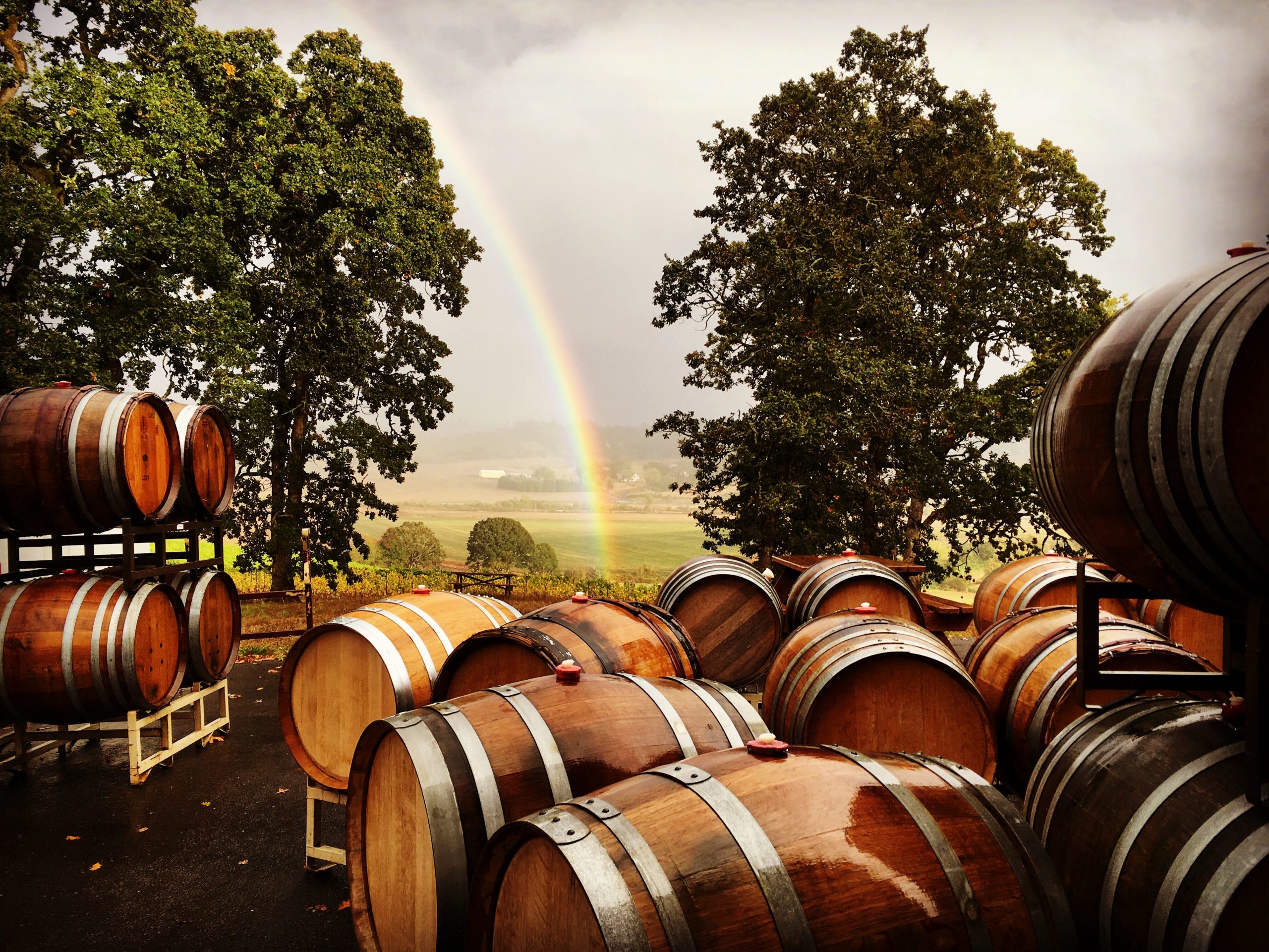 Johan Vineyards