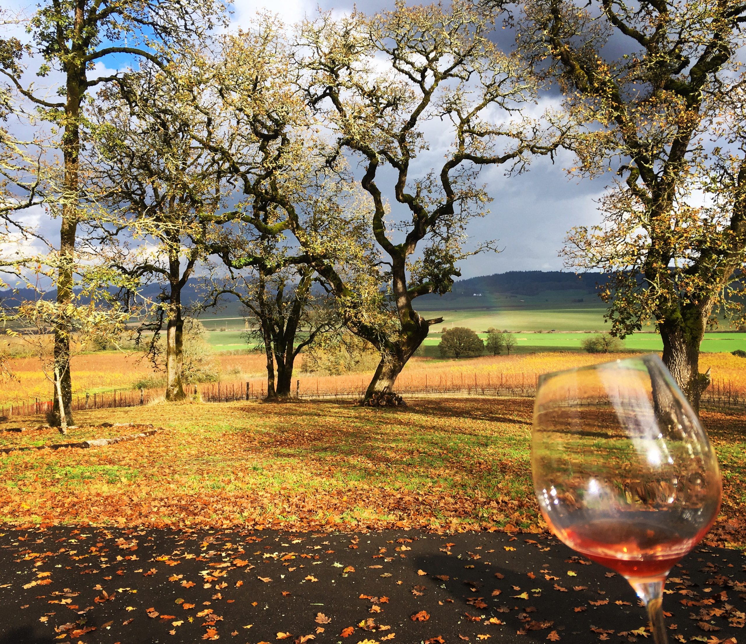 Johan Vineyards