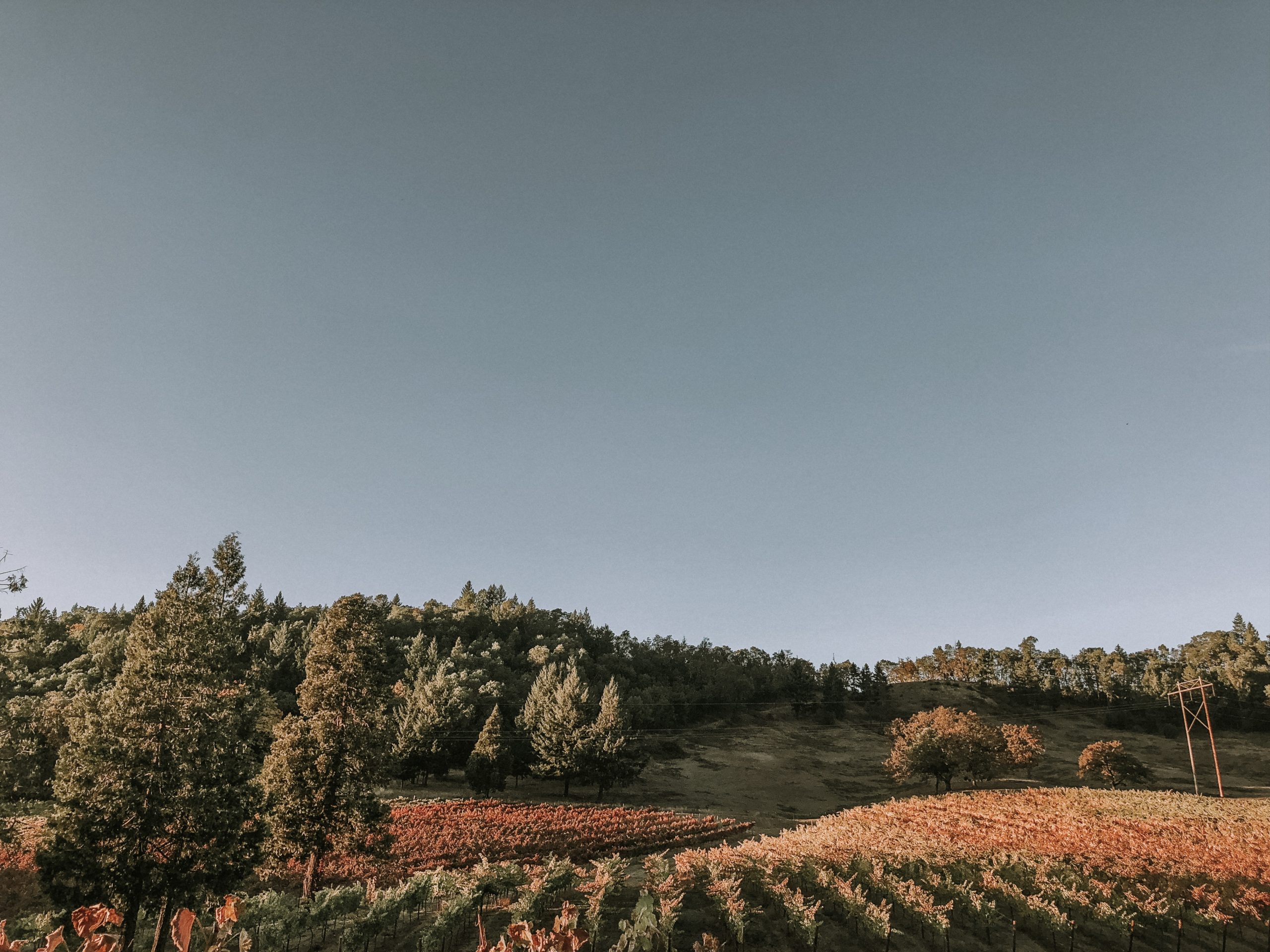 Falk Estate Vineyards Tasting Room