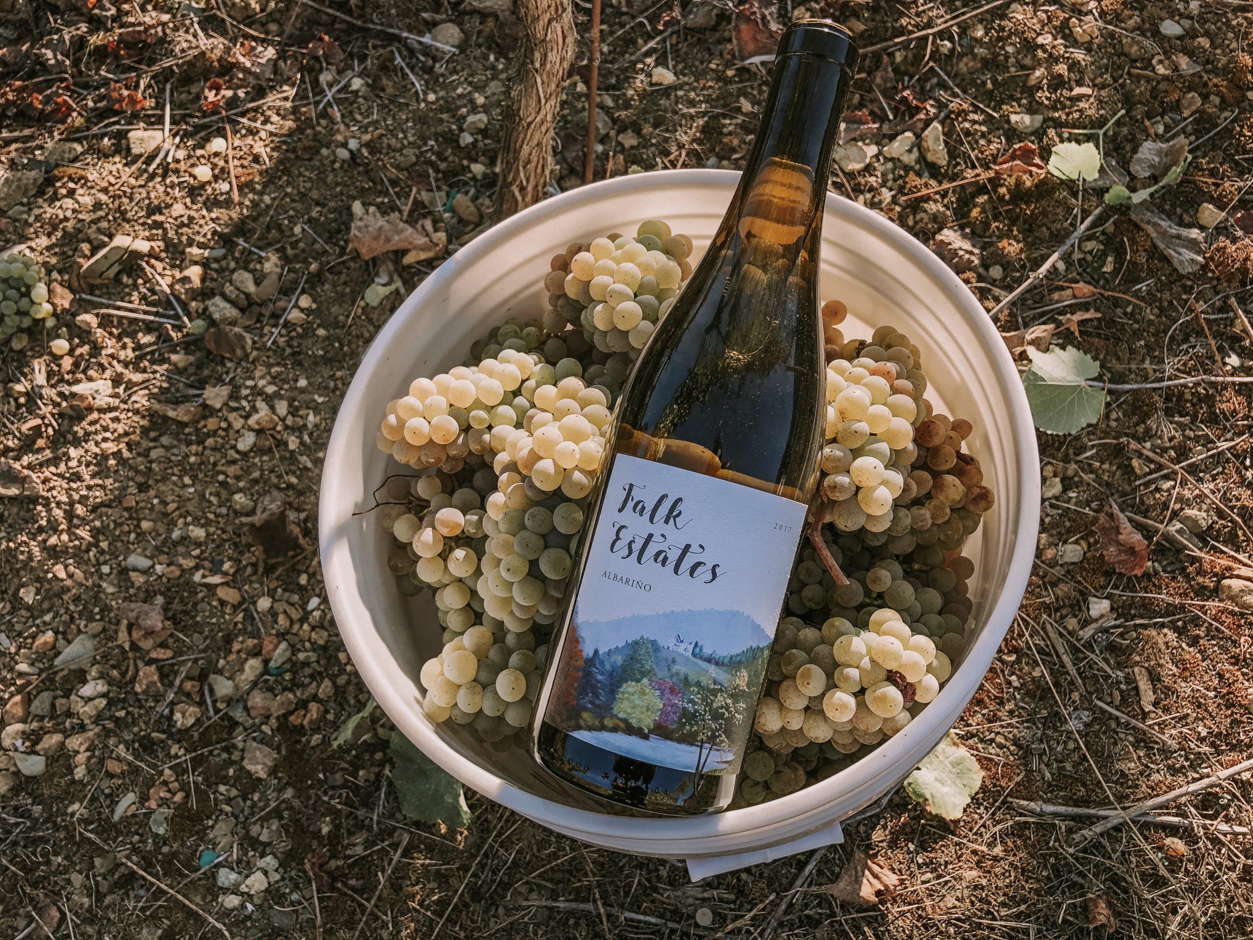 Falk Estate Vineyards Tasting Room