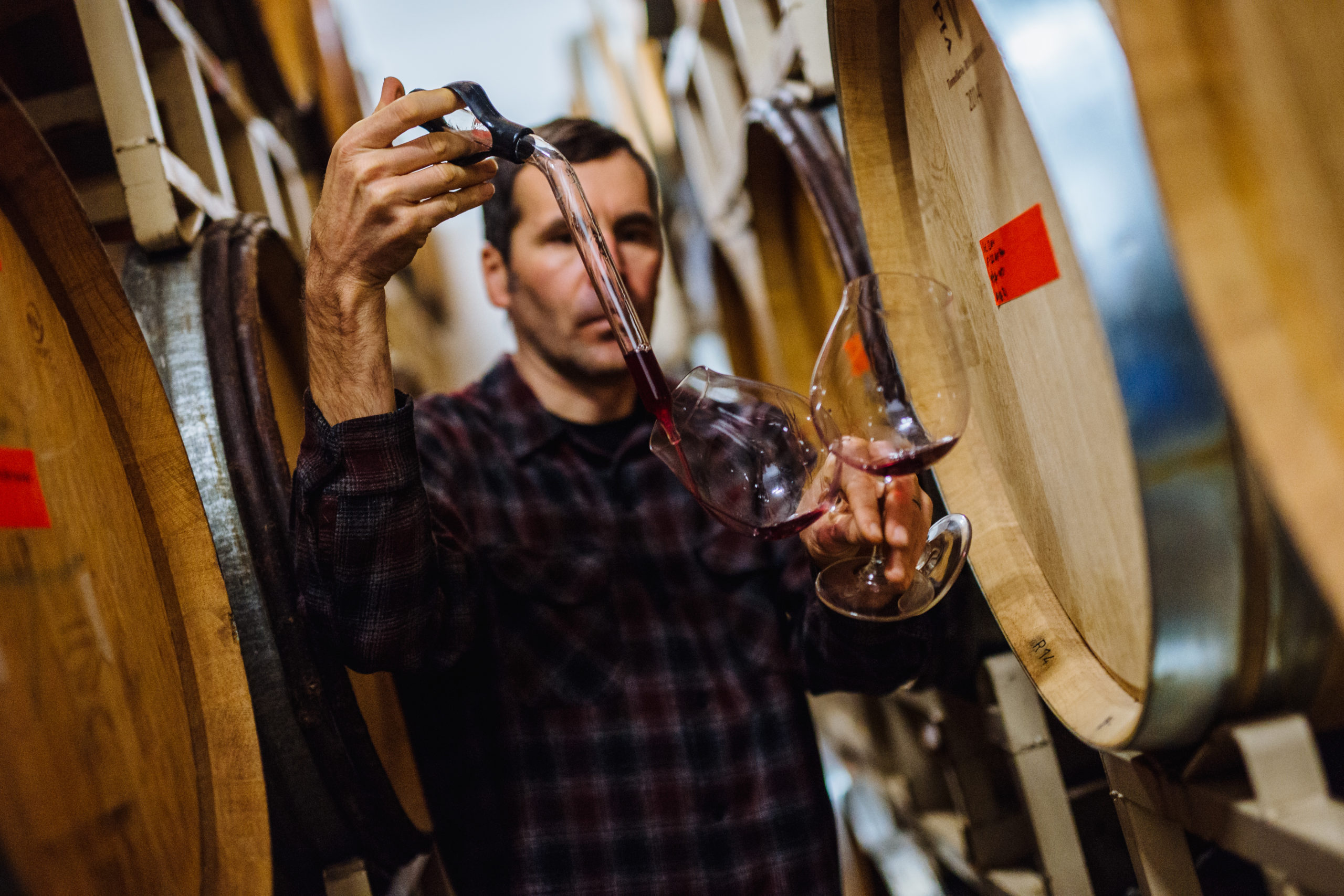 GC Wines