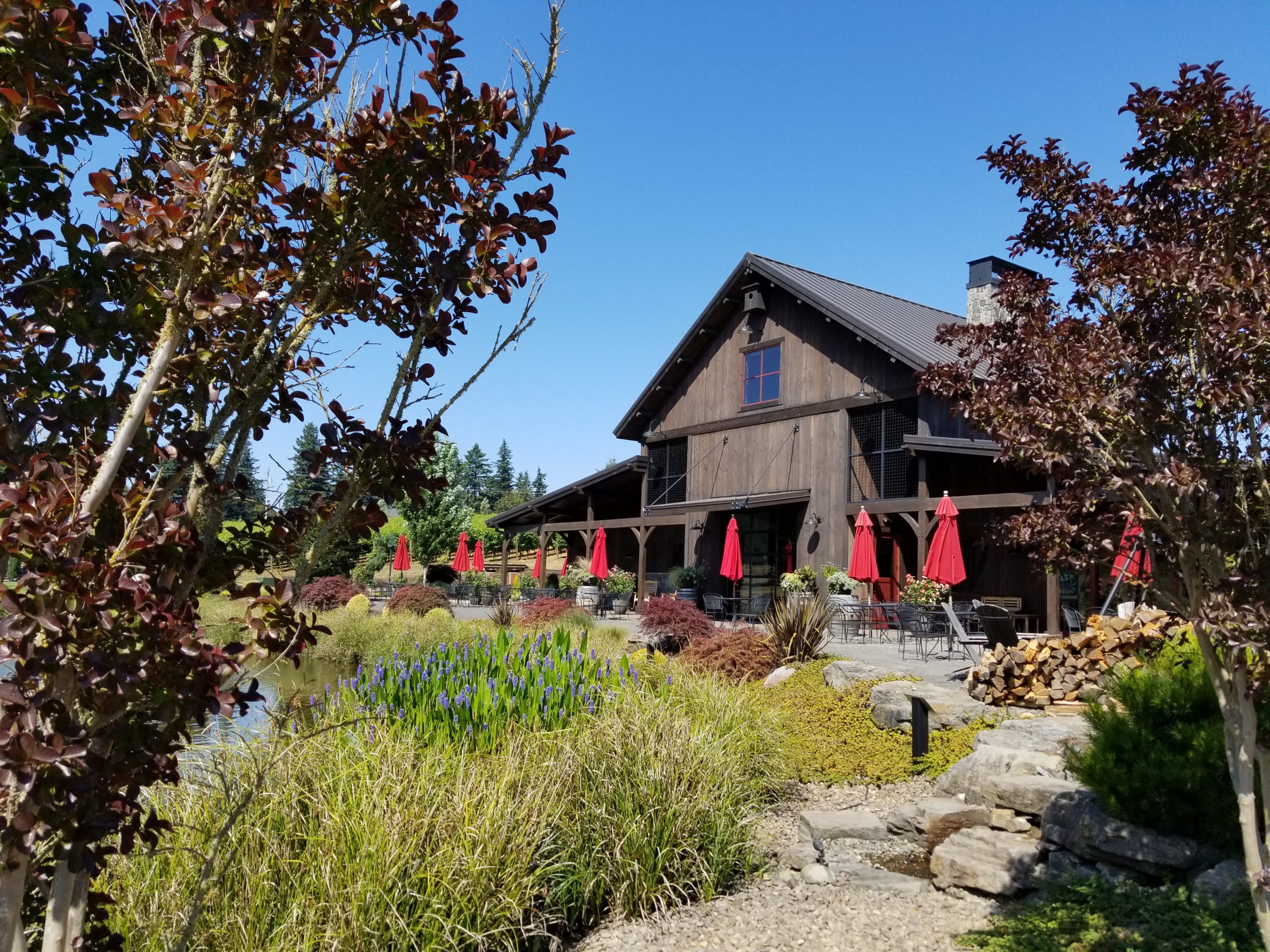 Tumwater Vineyard