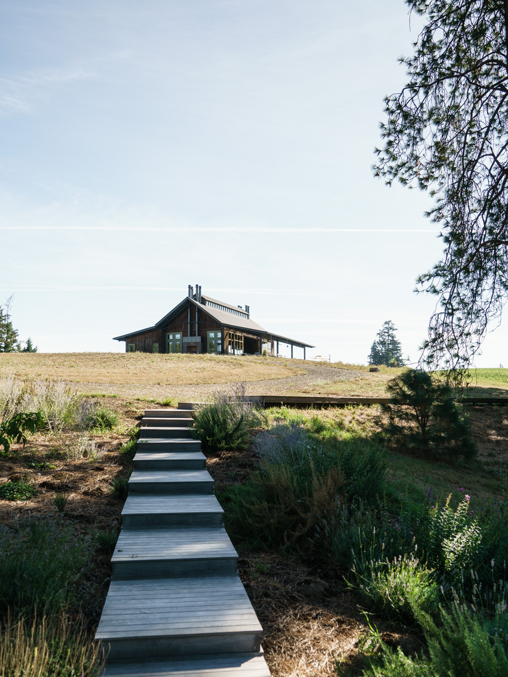 Soter Vineyards – Mineral Springs Ranch