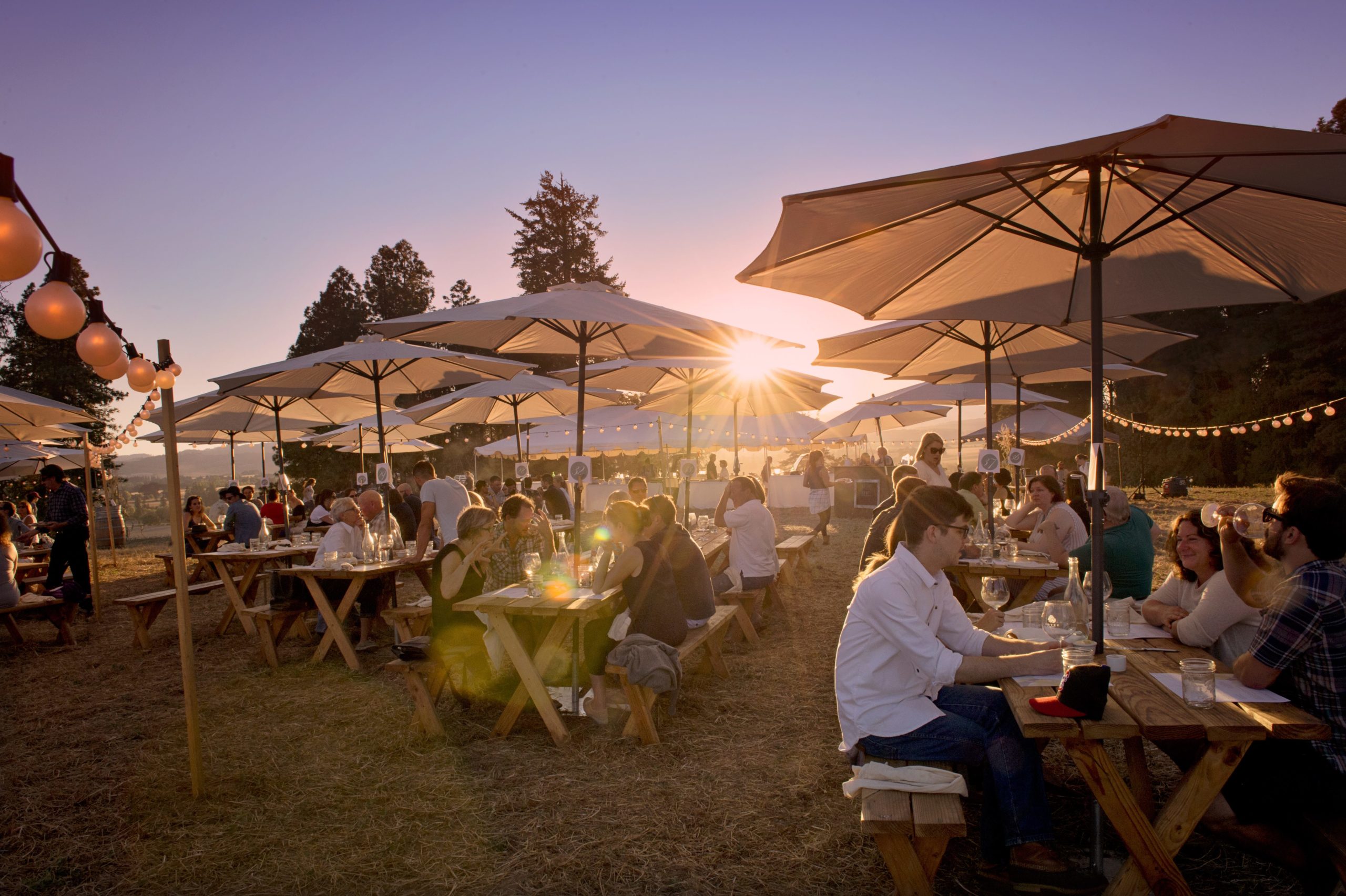 Soter Vineyards – Mineral Springs Ranch