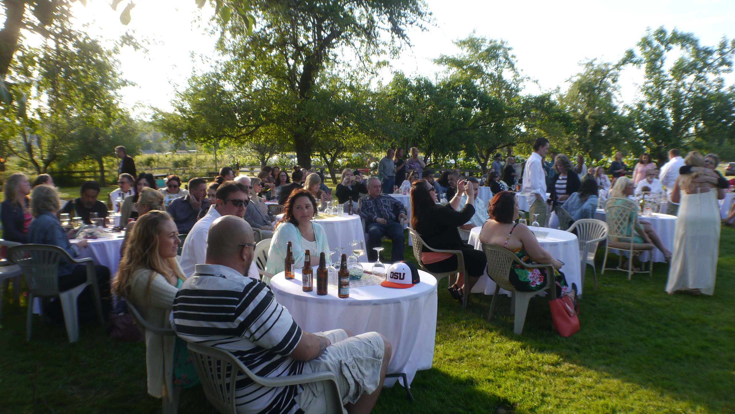 Saginaw Vineyard