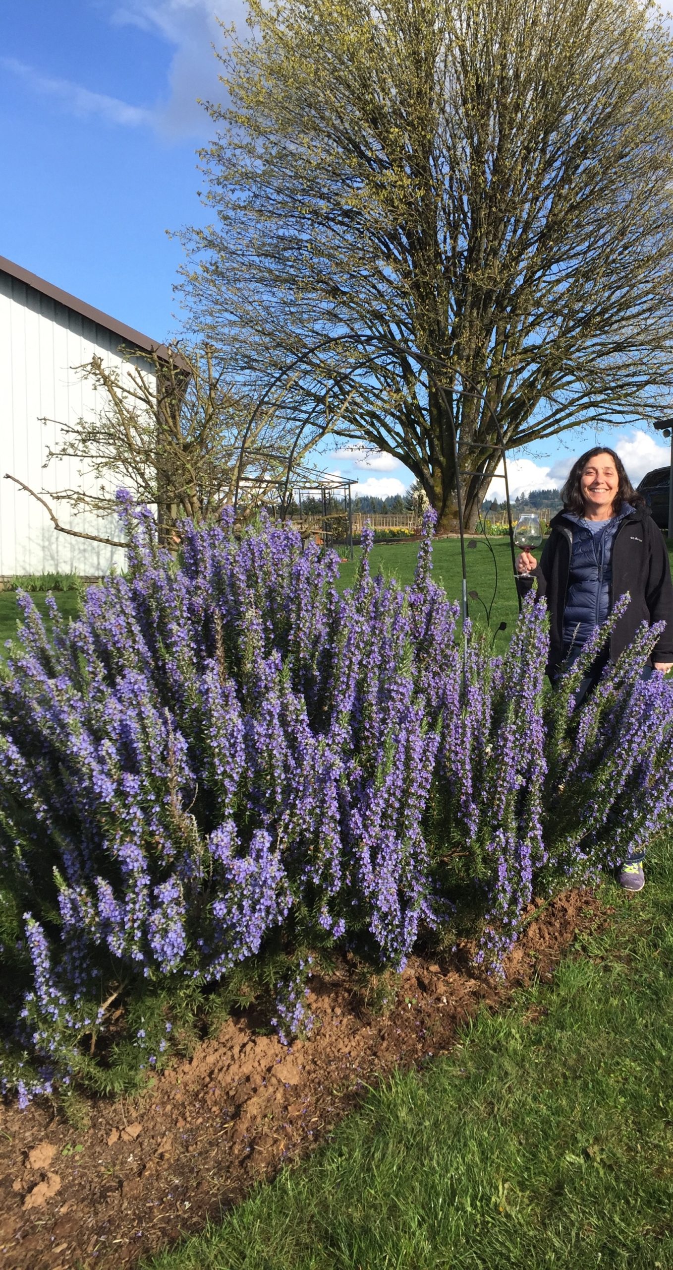 The Potter’s Vineyard & Clay Art Gallery
