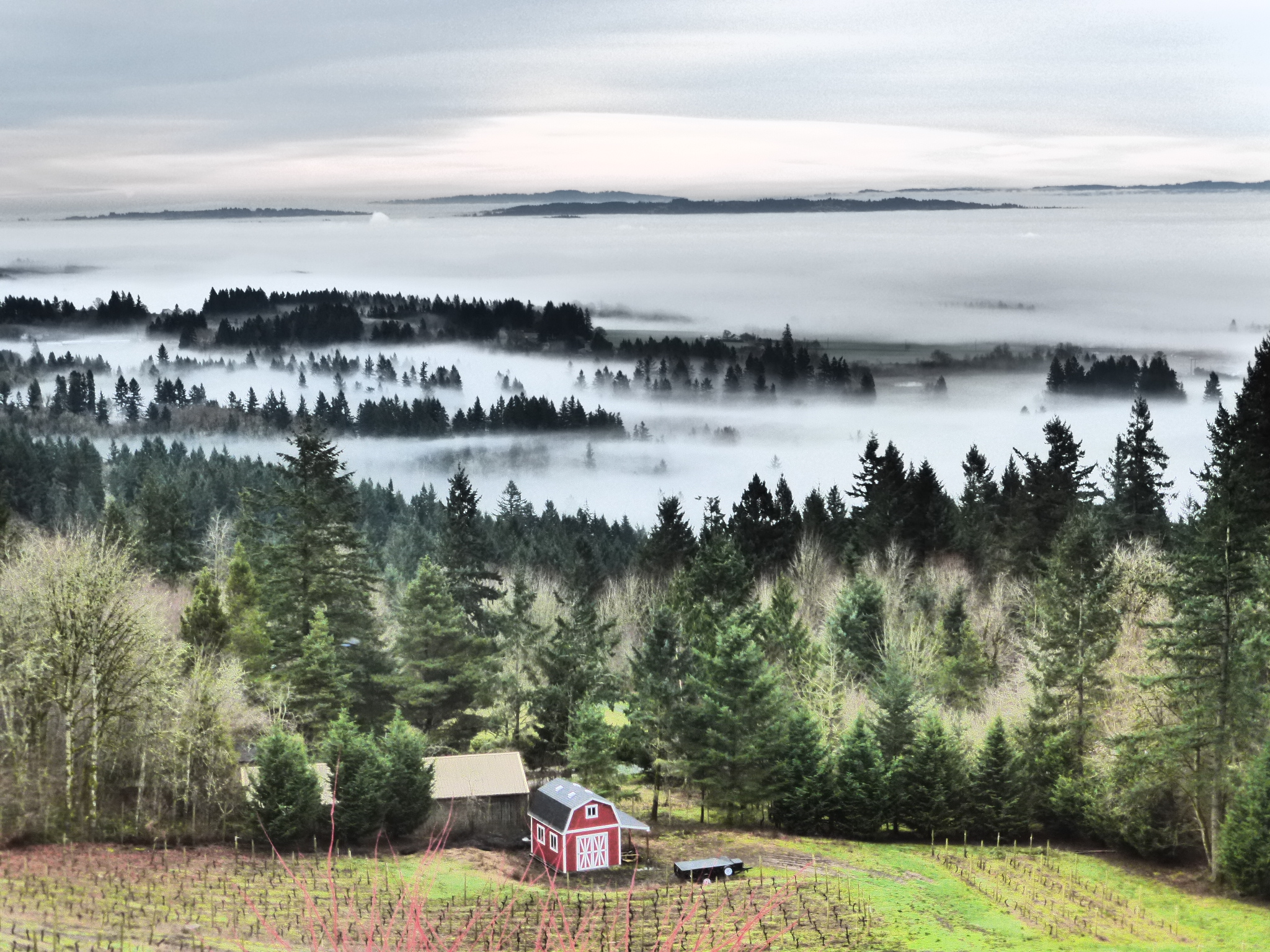 Seven Sails Vineyard