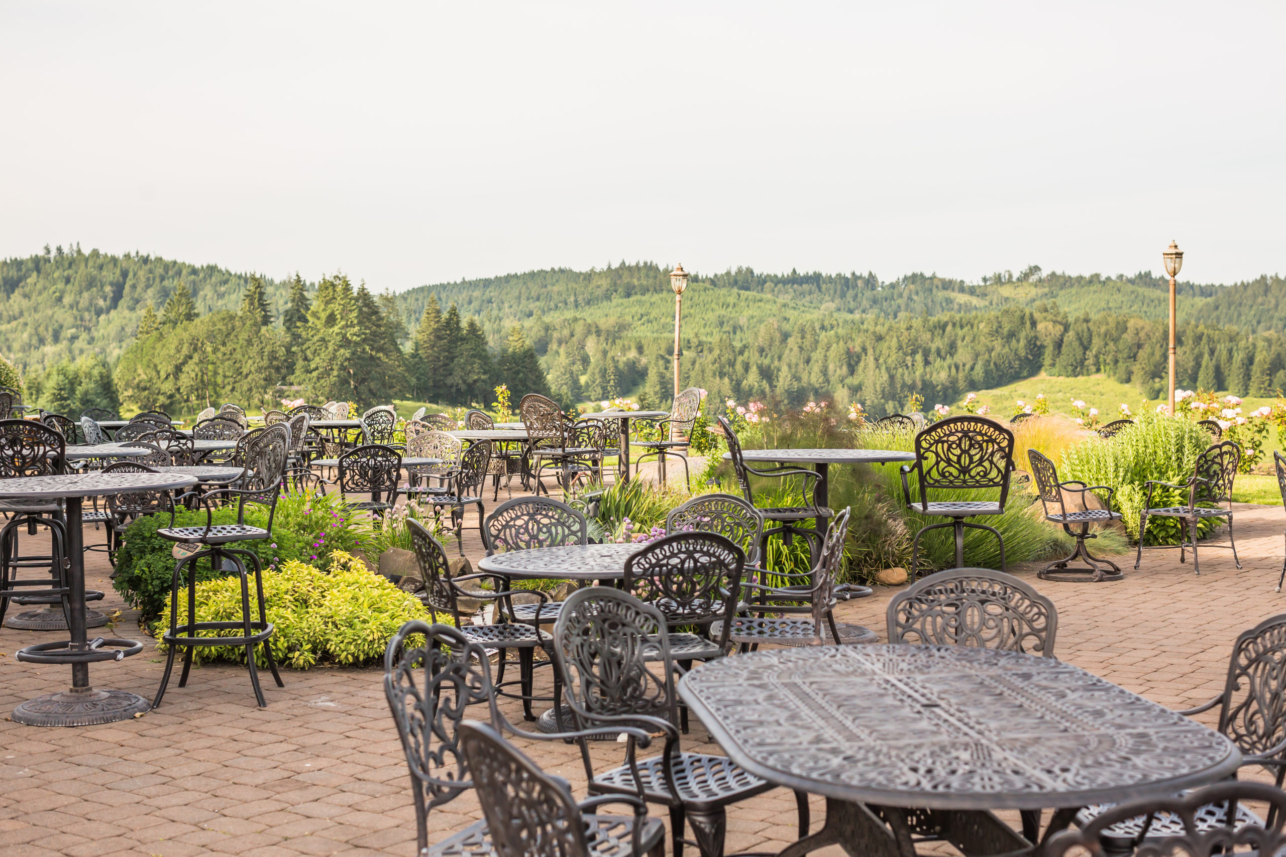 Sweet Cheeks Winery