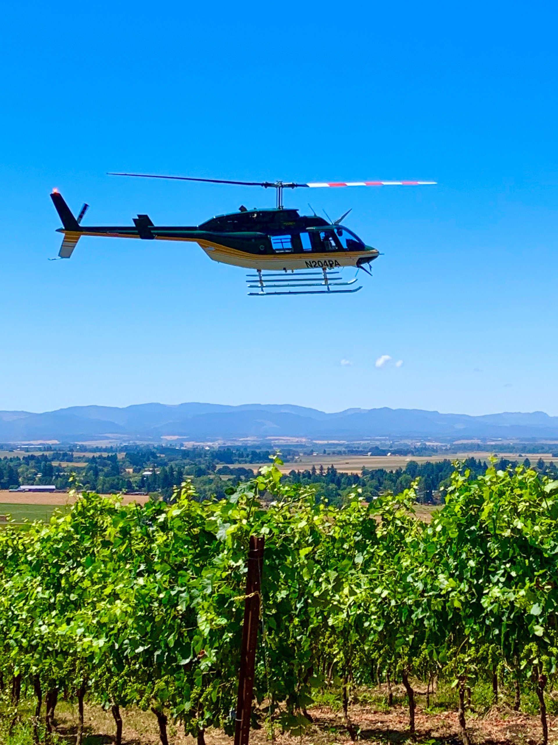 Keeler Estate Vineyard & Winery