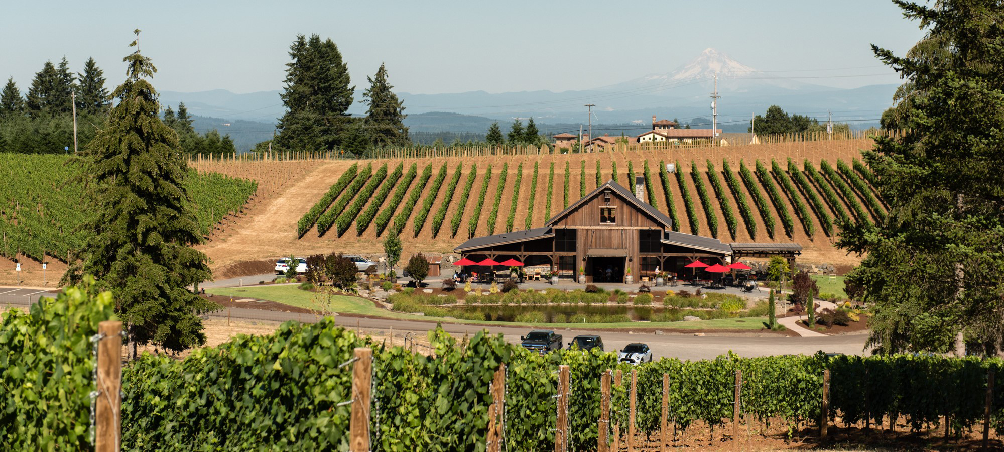 Tumwater Vineyard