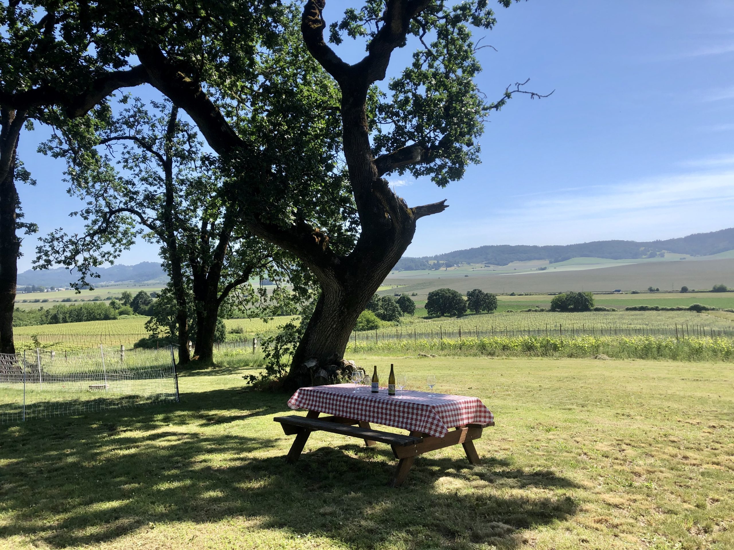 Johan Vineyards