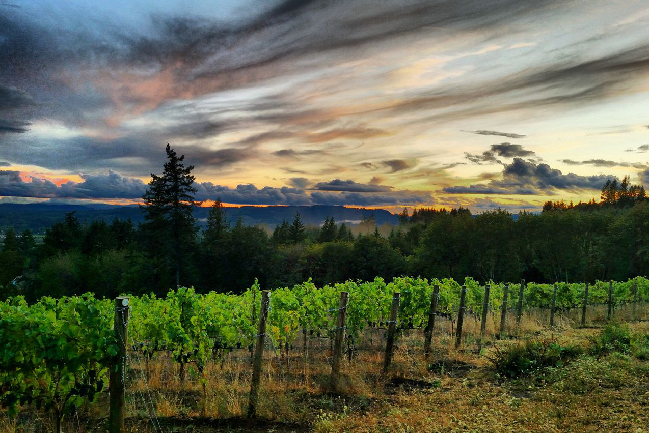 Bells Up Winery