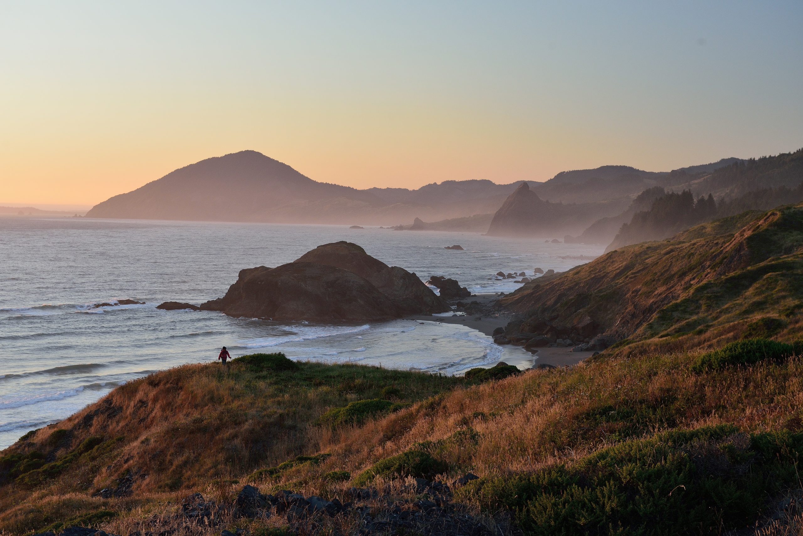 Raise a Toast on the Coast