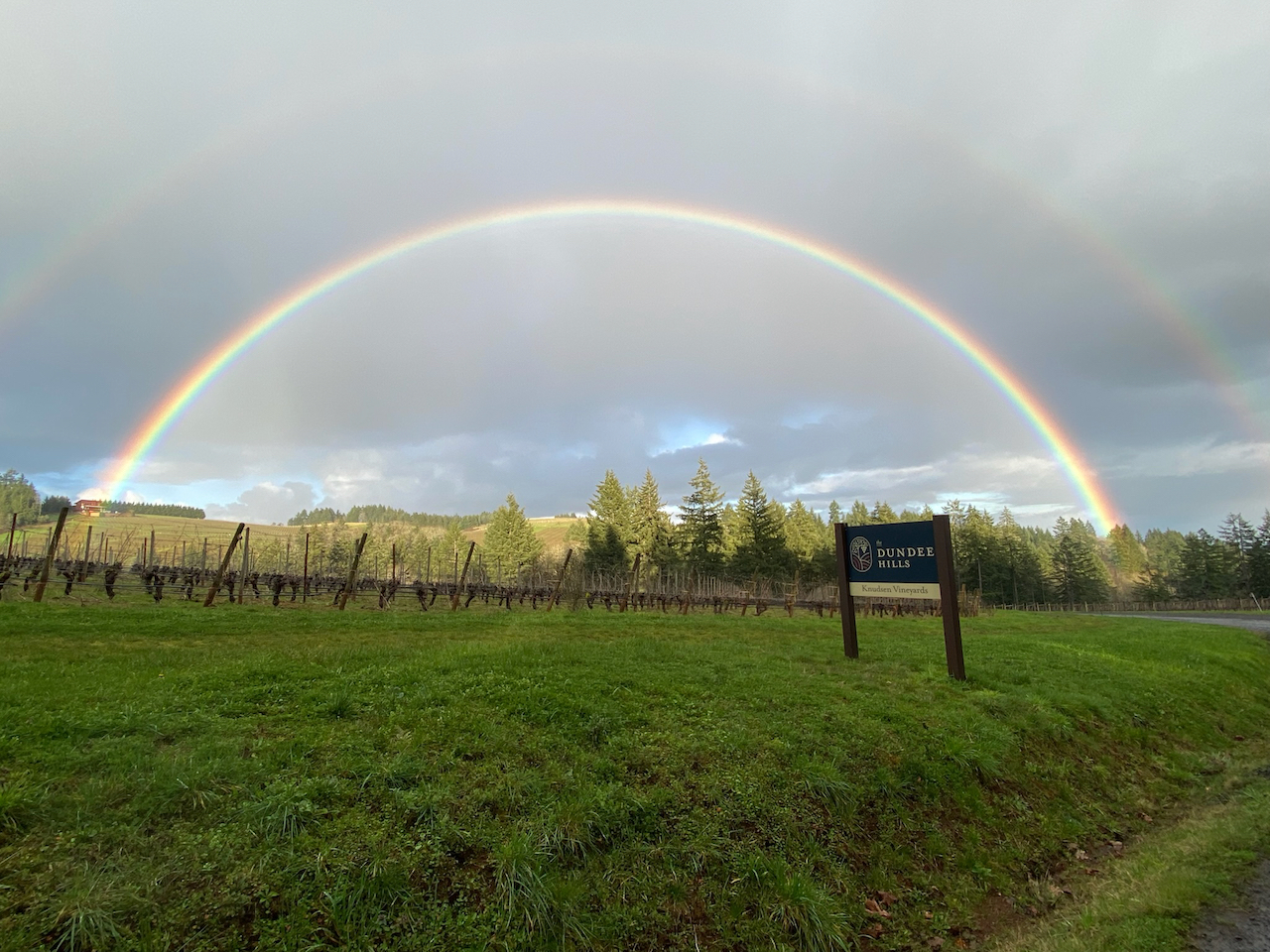 Vineyard Hike, Tasting & Lunch At Knudsen Vineyards