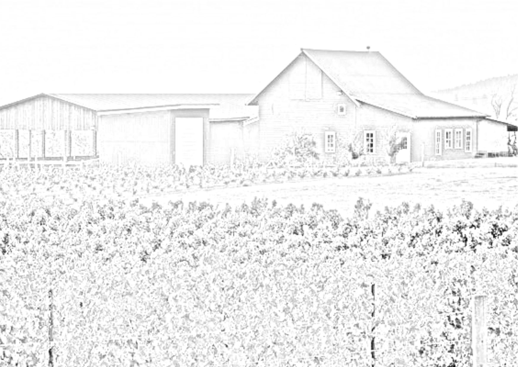 Memorial Day Weekend Grand Reopening at Arborbrook by Cooper Mountain Vineyards